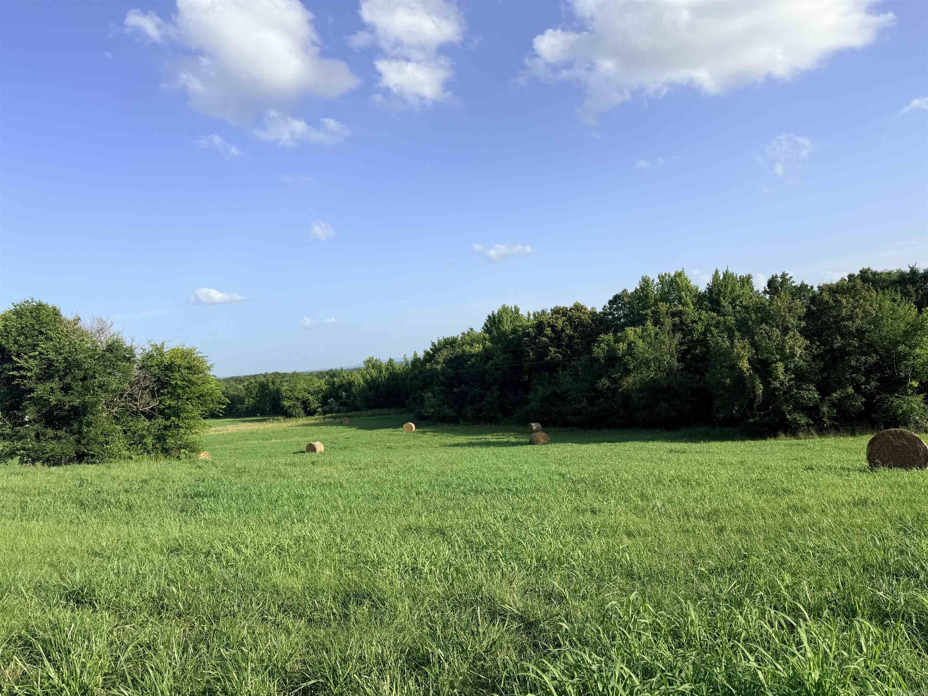 TBD Polk Rd 301  Mena, AR