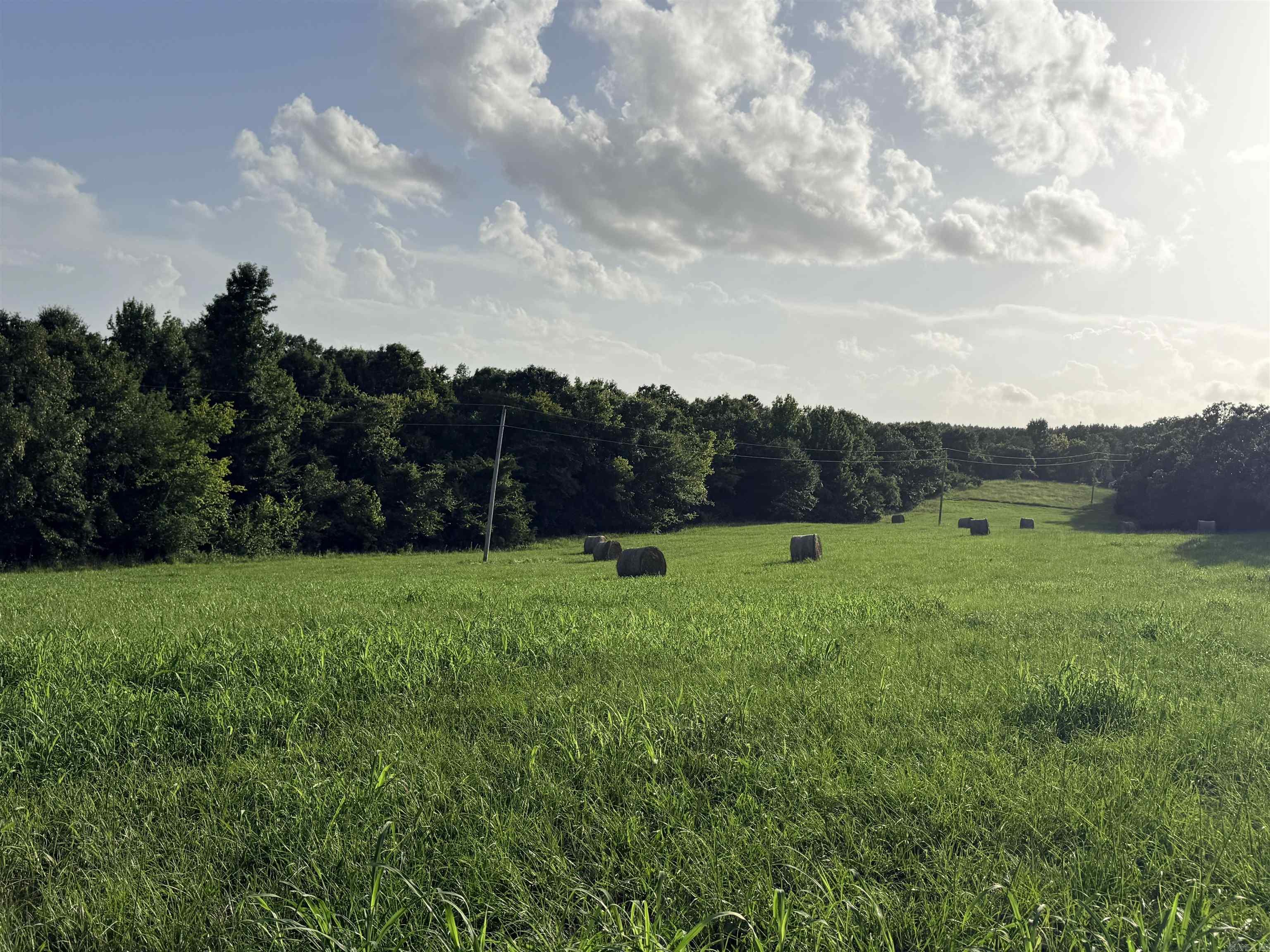 TBD Polk Rd 301  Mena, AR