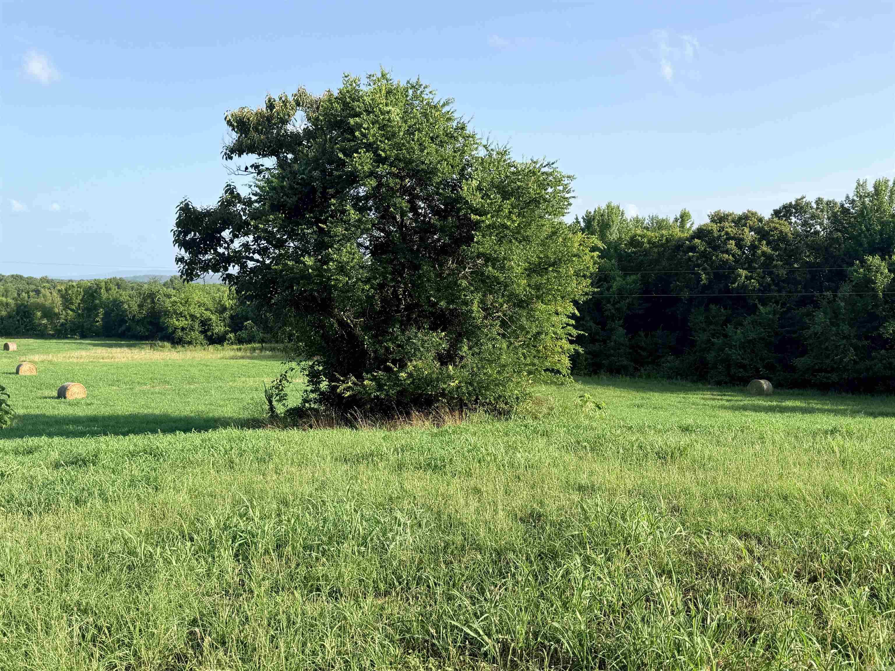 TBD Polk Rd 301  Mena, AR