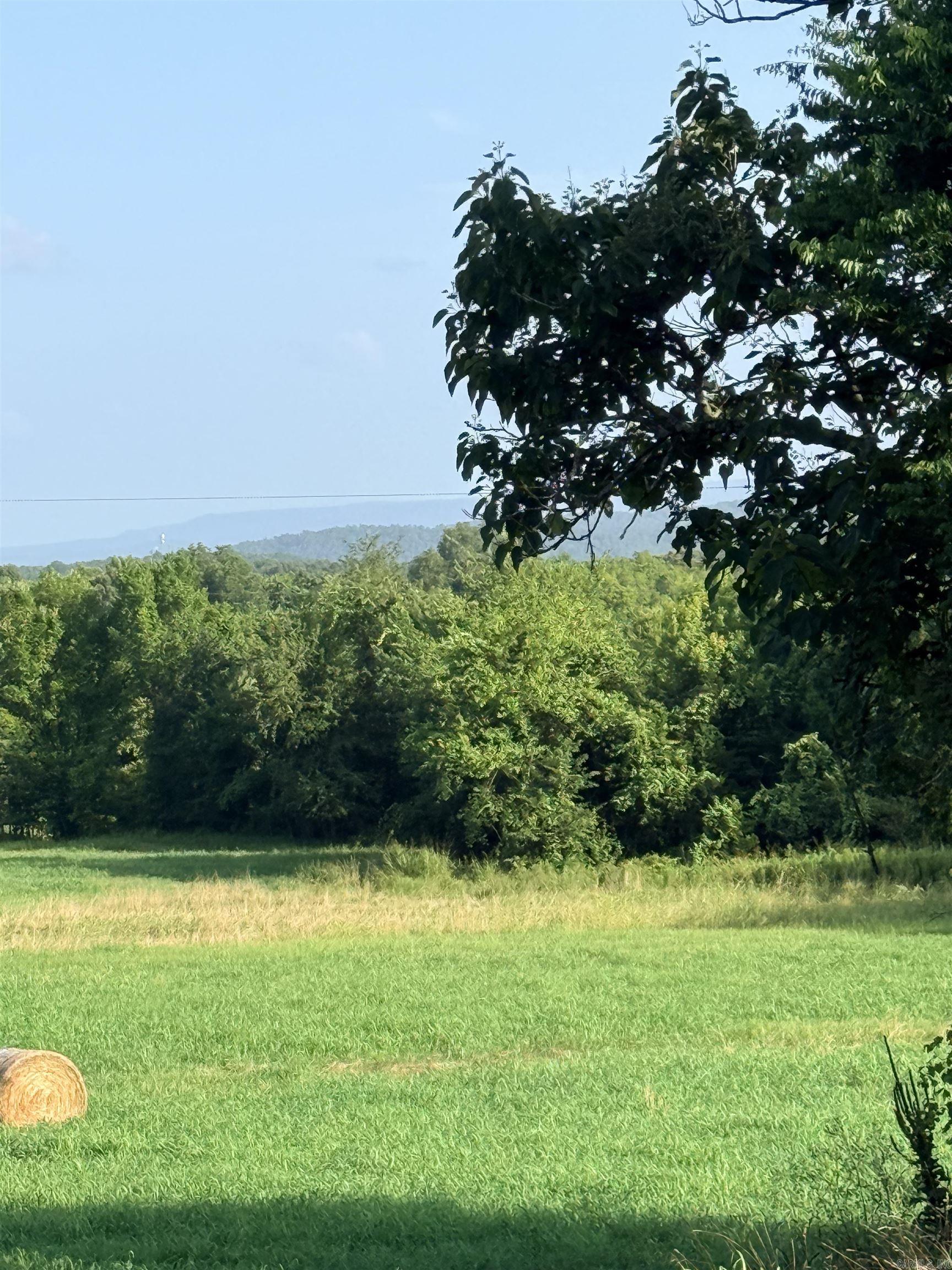 TBD Polk Rd 301  Mena, AR