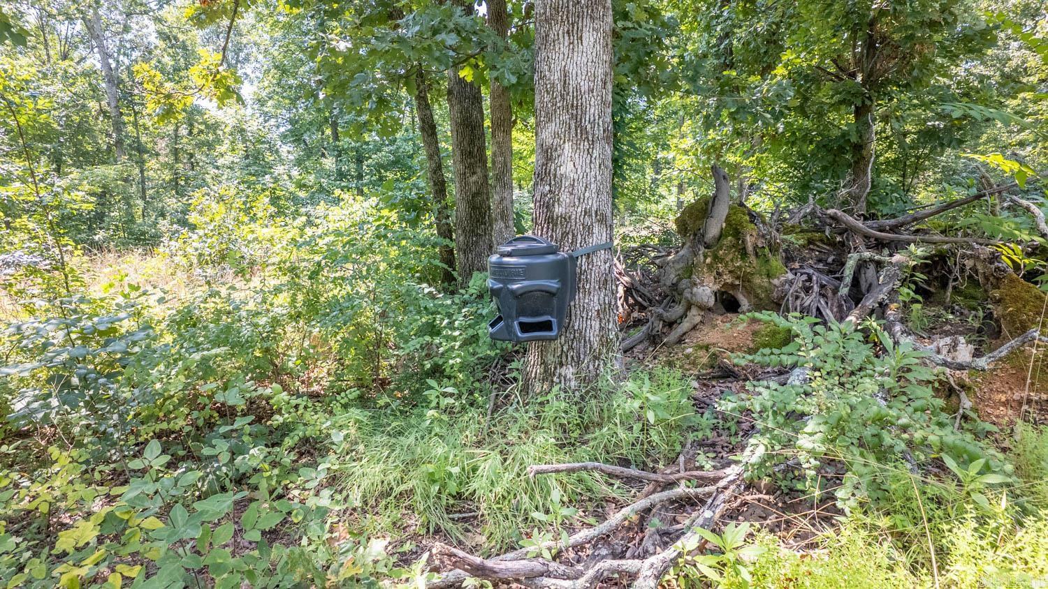 10824 Upper Janes Creek  Ravenden, AR