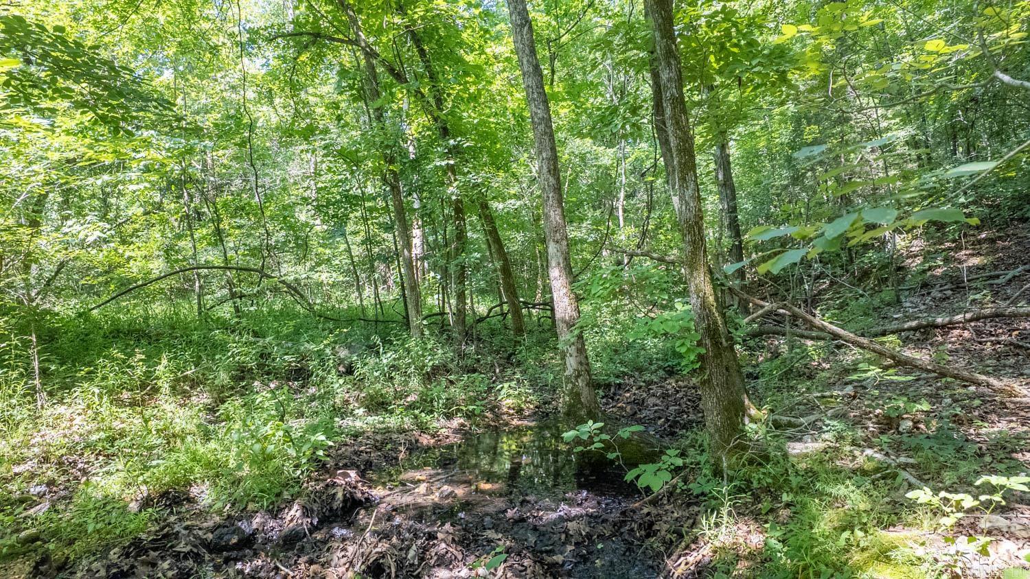 10824 Upper Janes Creek  Ravenden, AR