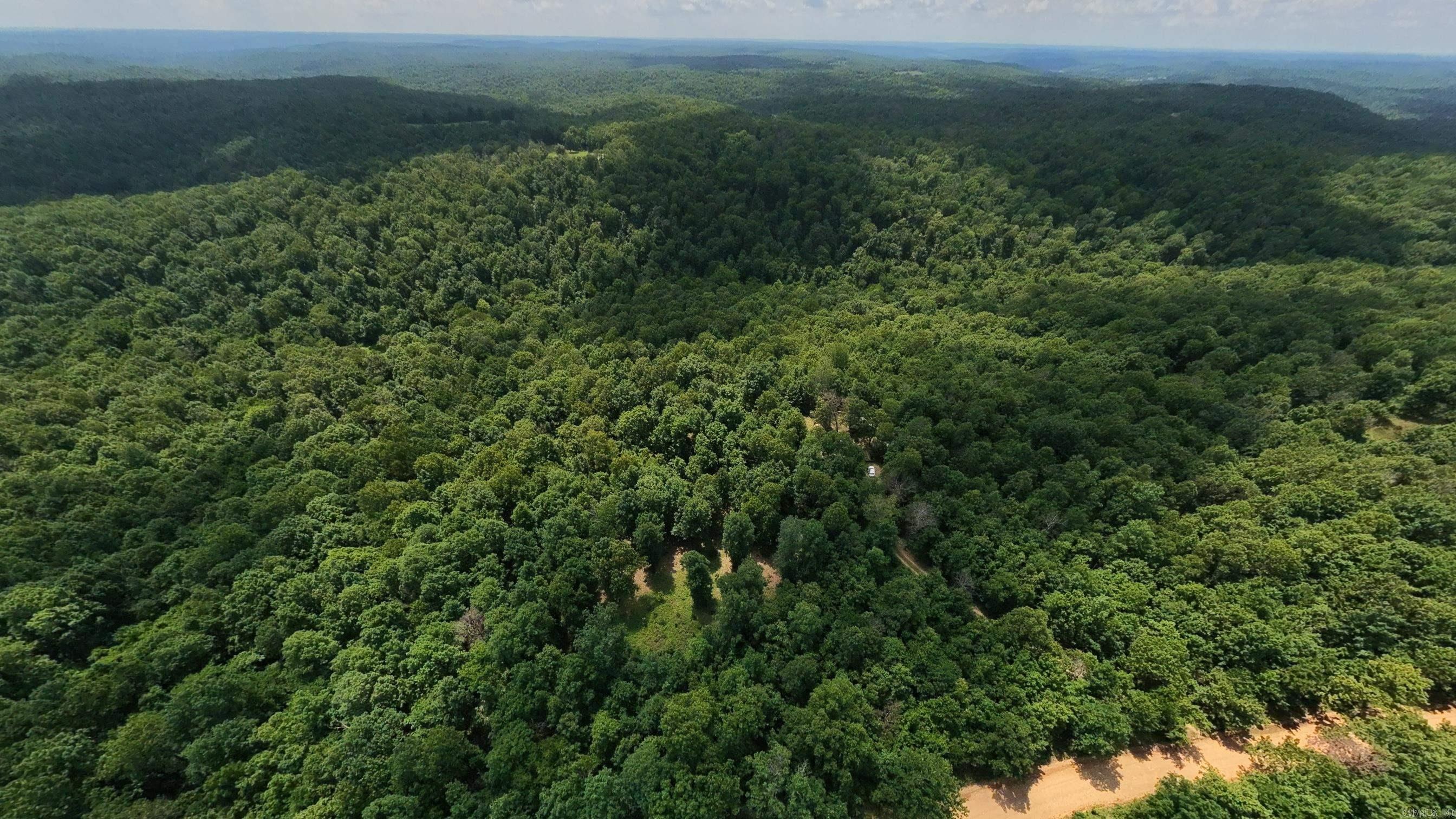 10824 Upper Janes Creek  Ravenden, AR