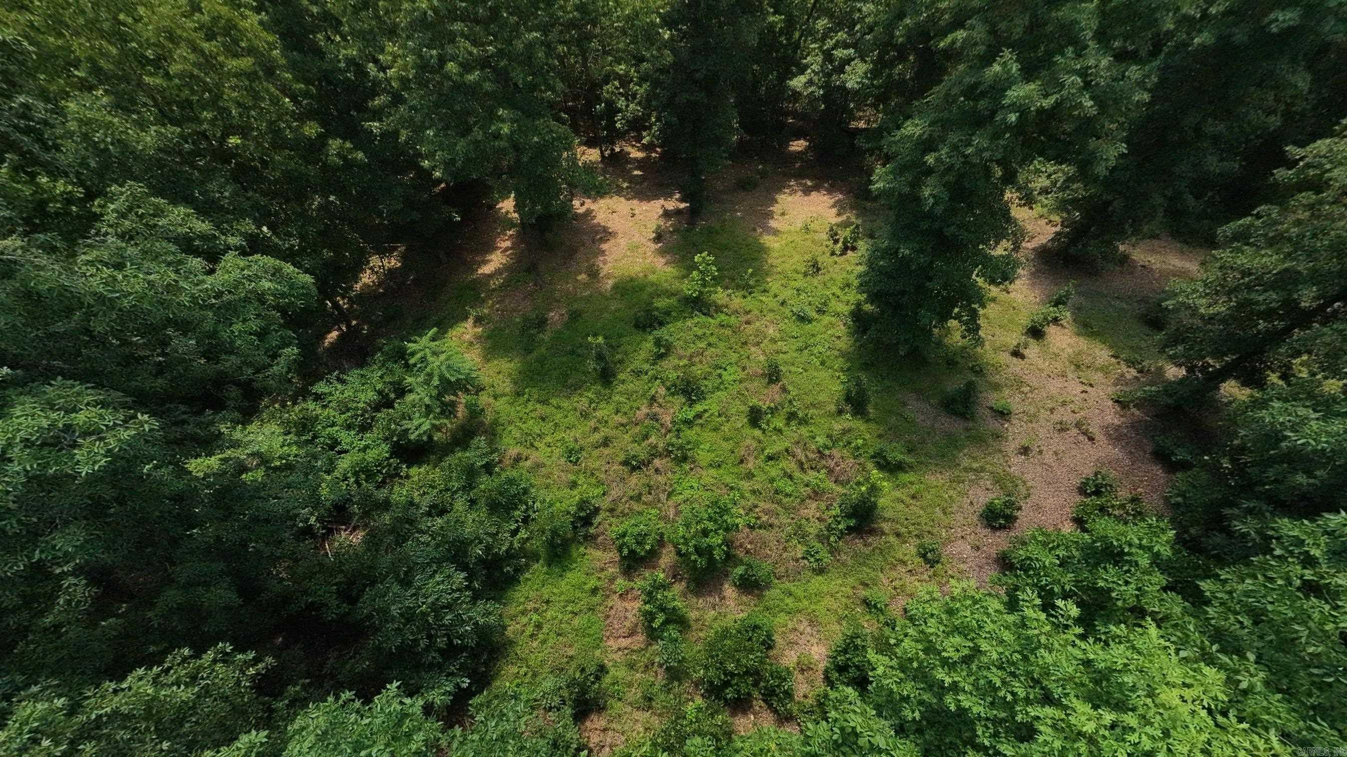 10824 Upper Janes Creek  Ravenden, AR