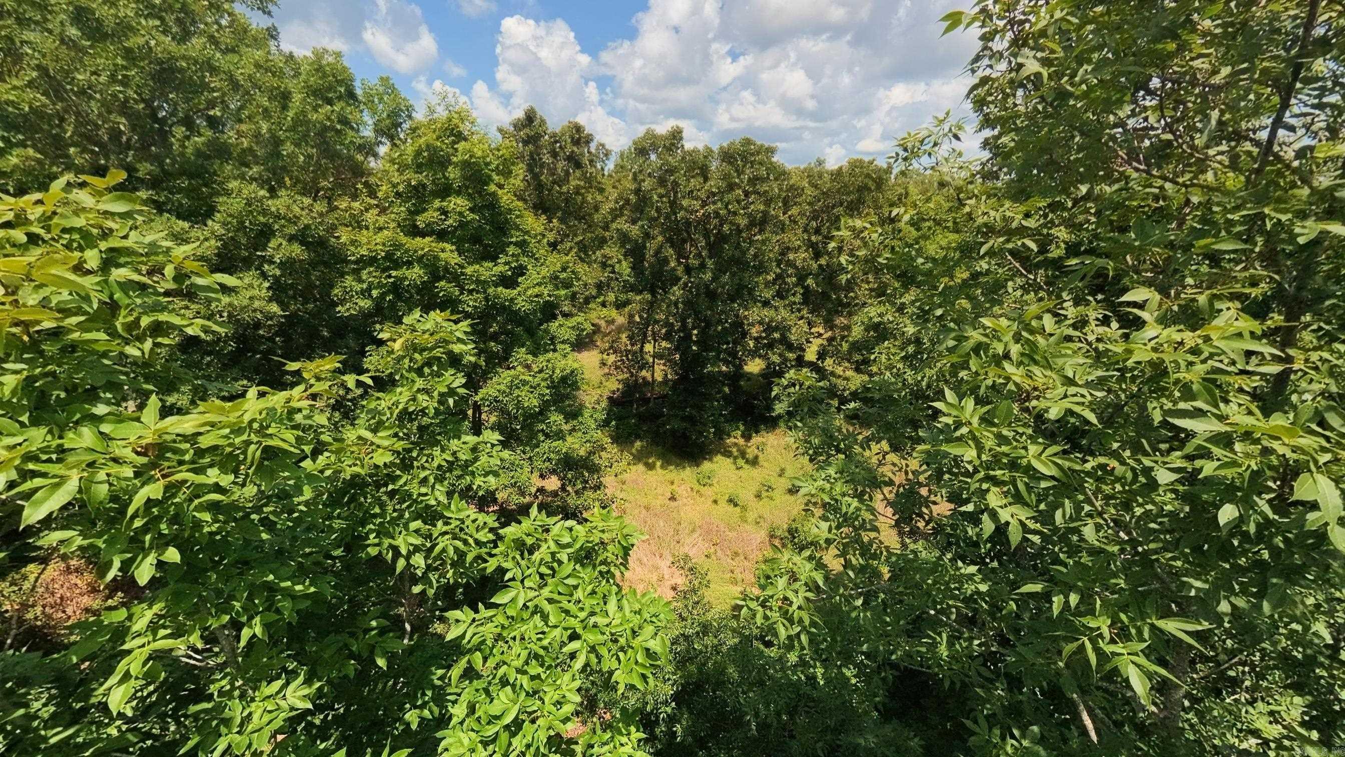 10824 Upper Janes Creek  Ravenden, AR