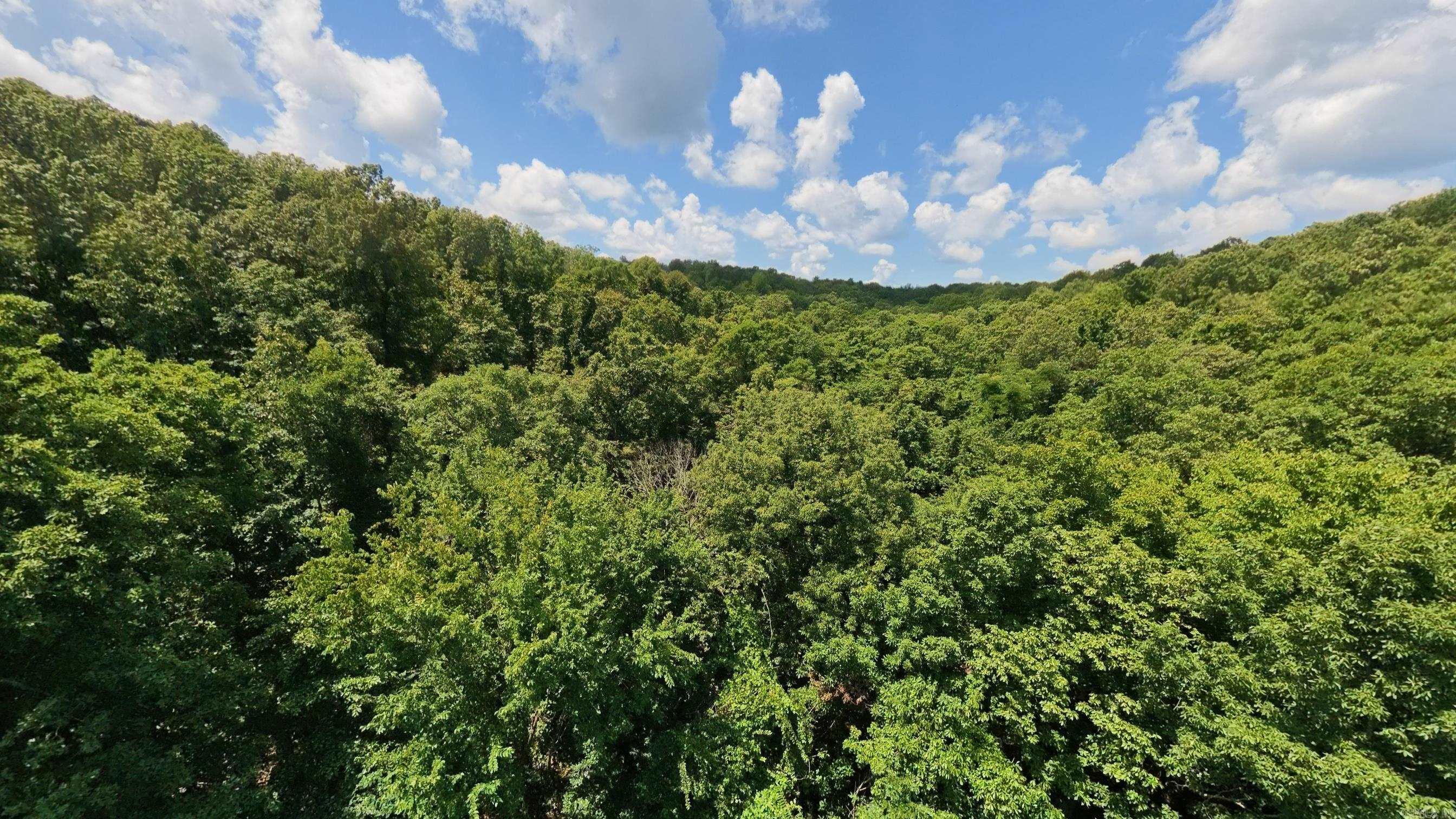 10824 Upper Janes Creek  Ravenden, AR