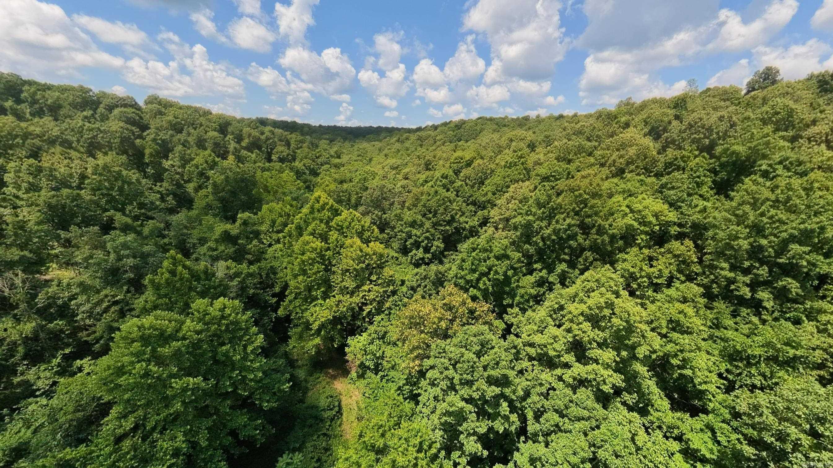 10824 Upper Janes Creek  Ravenden, AR
