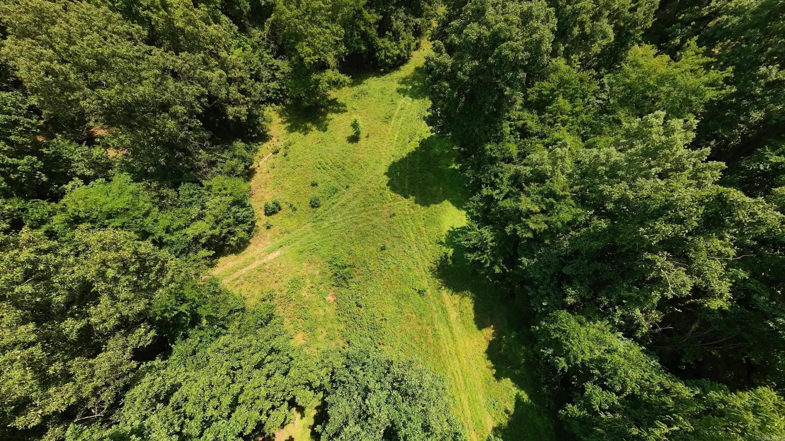 10824 Upper Janes Creek  Ravenden, AR