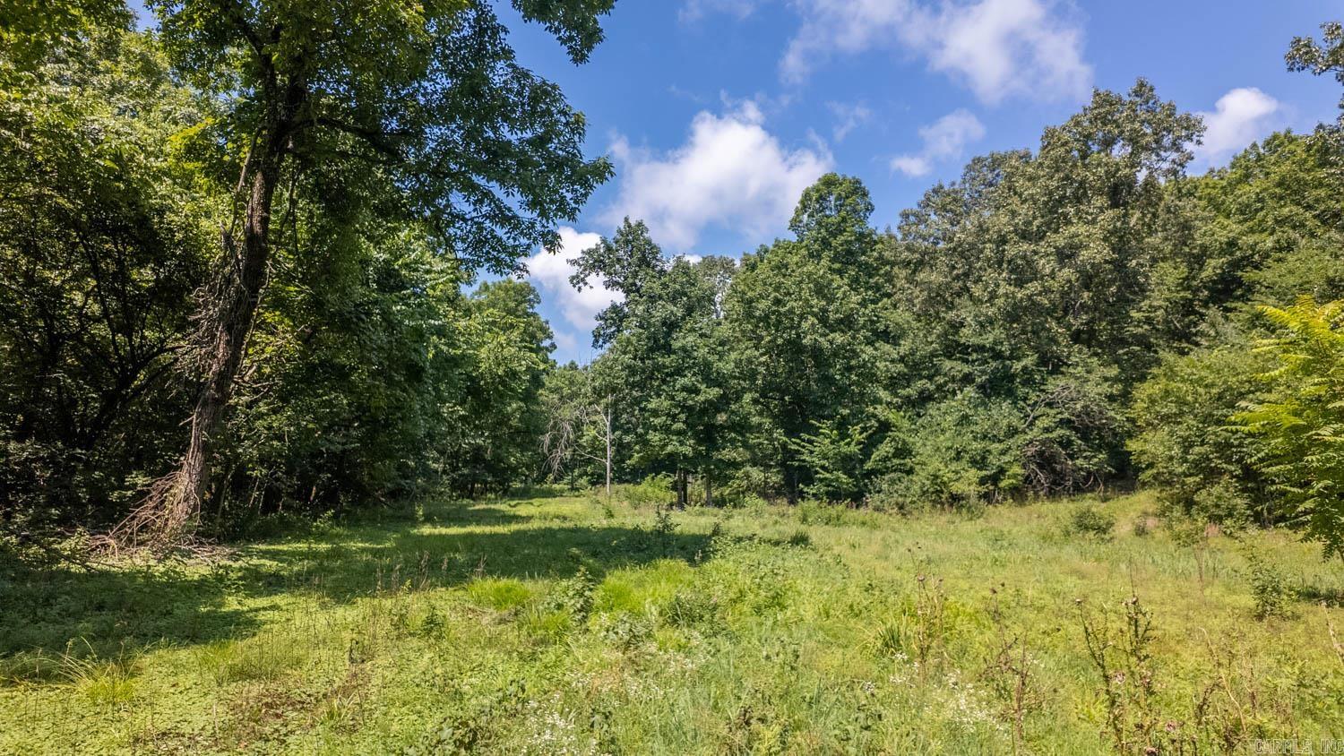 10824 Upper Janes Creek  Ravenden, AR
