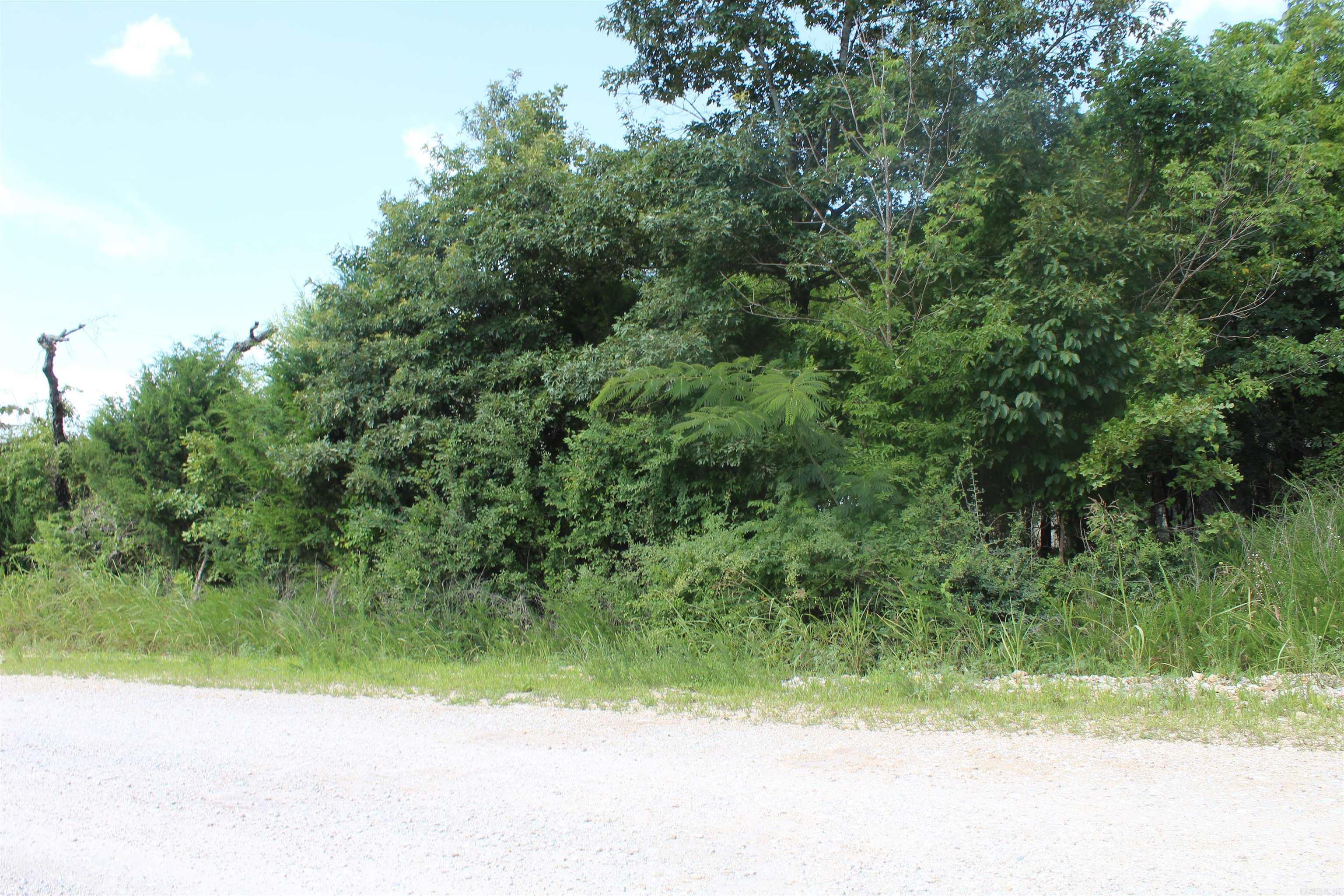 019-02950-000 Horseshoe Bend Road  Lead Hill, AR