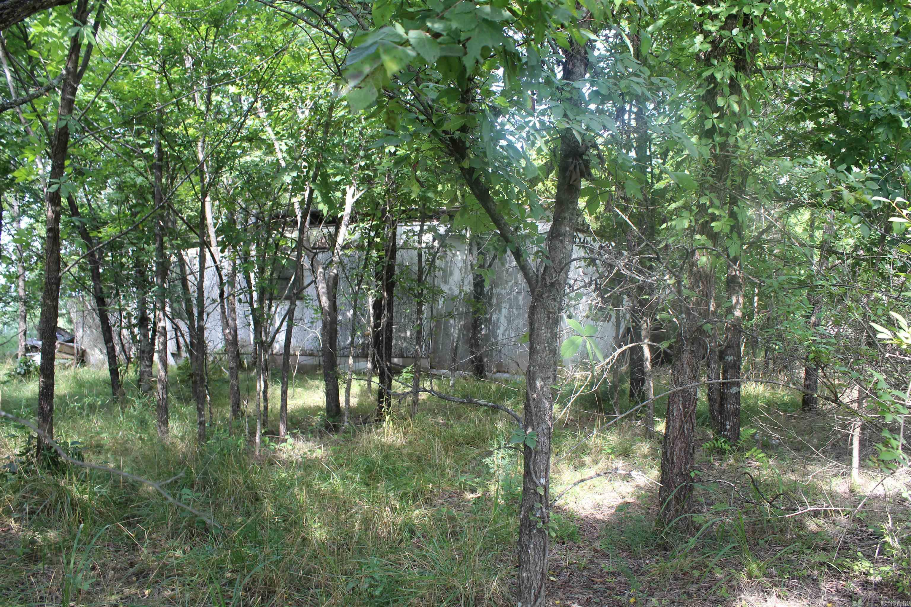 019-02950-000 Horseshoe Bend Road  Lead Hill, AR