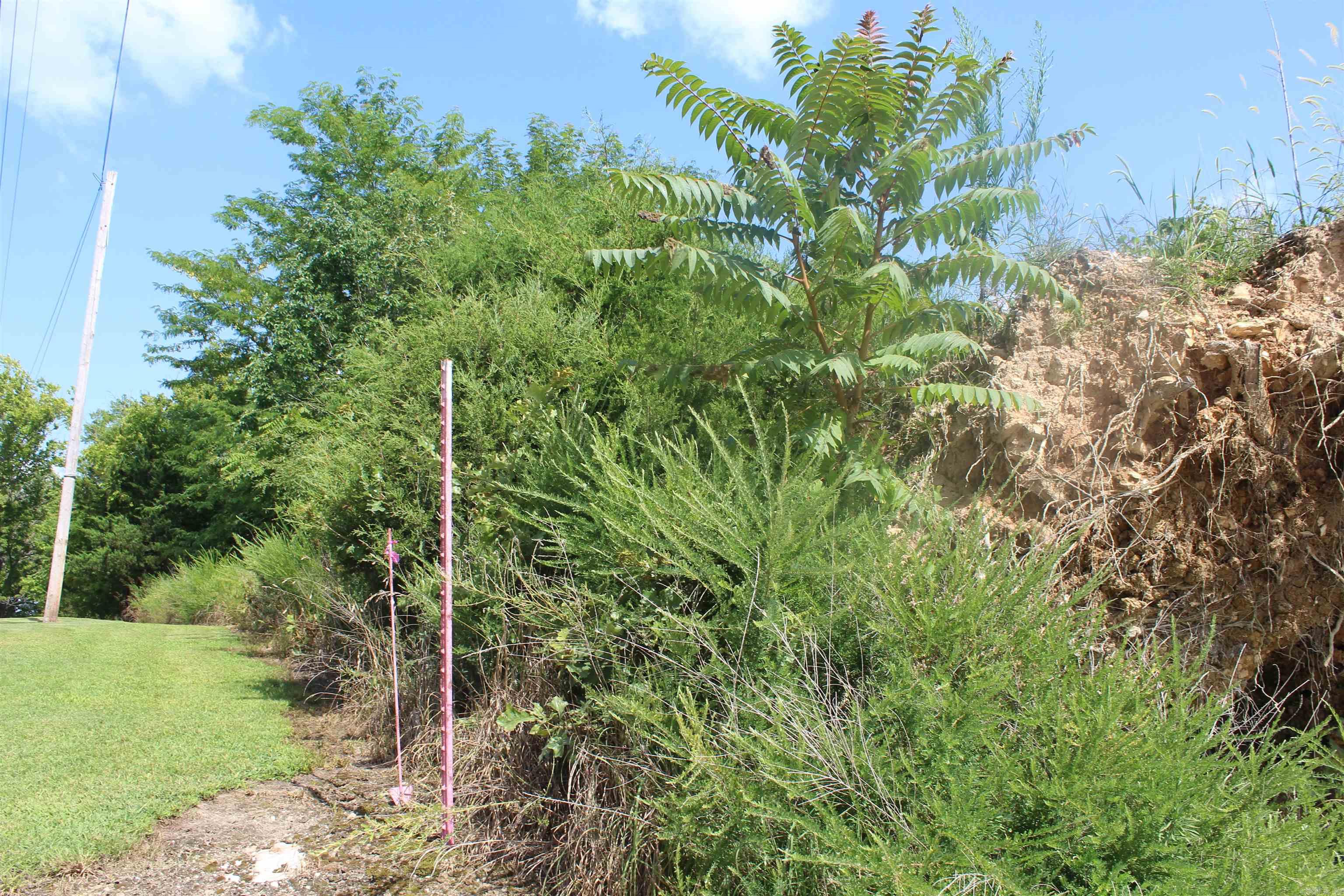 019-02950-000 Horseshoe Bend Road  Lead Hill, AR
