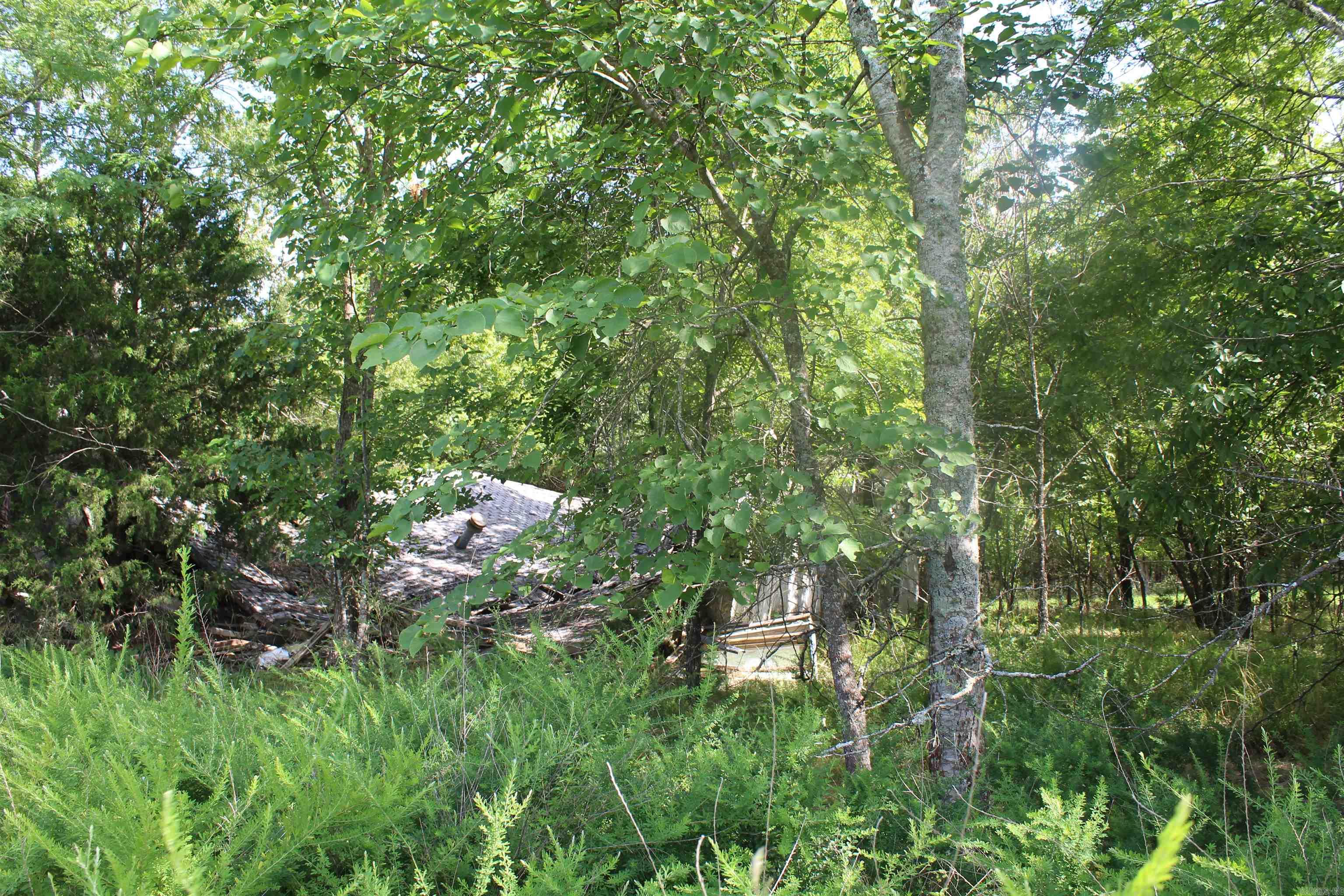 019-02950-000 Horseshoe Bend Road  Lead Hill, AR