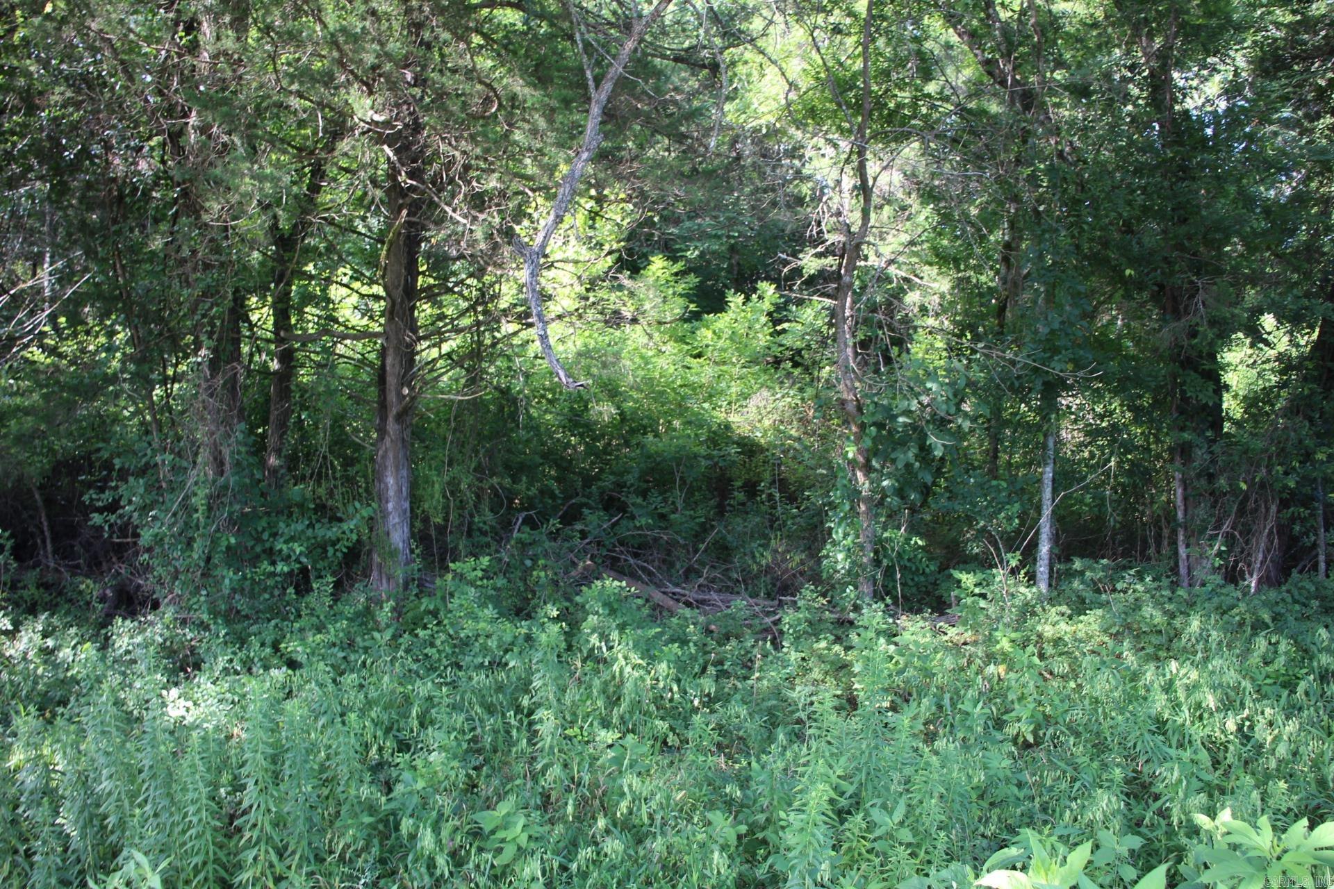 001-08456-001 Hwy 62 W  Yellville, AR