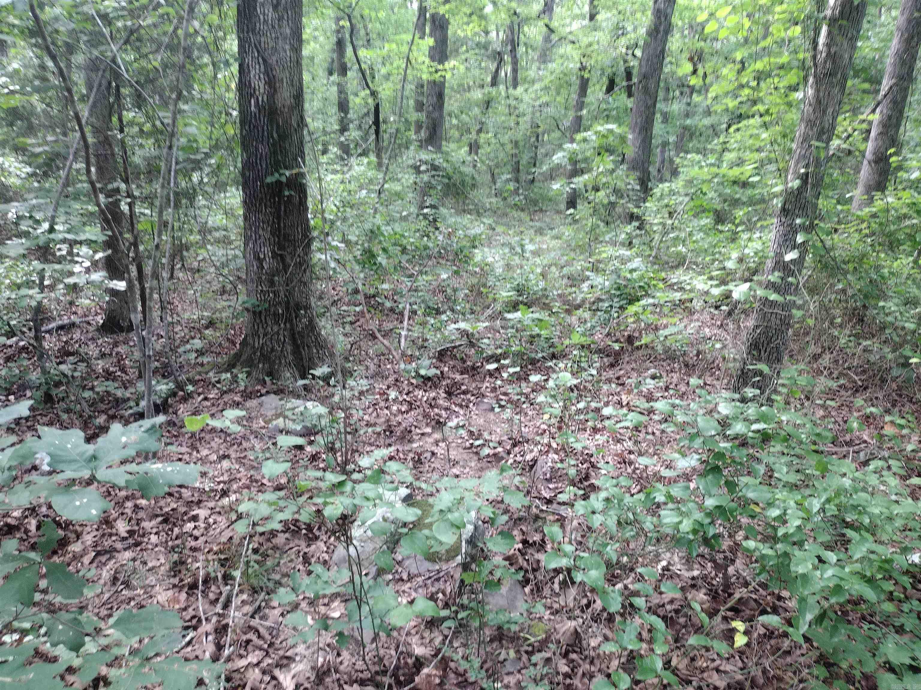 0 Iron Mountain RD  Mountain View, AR