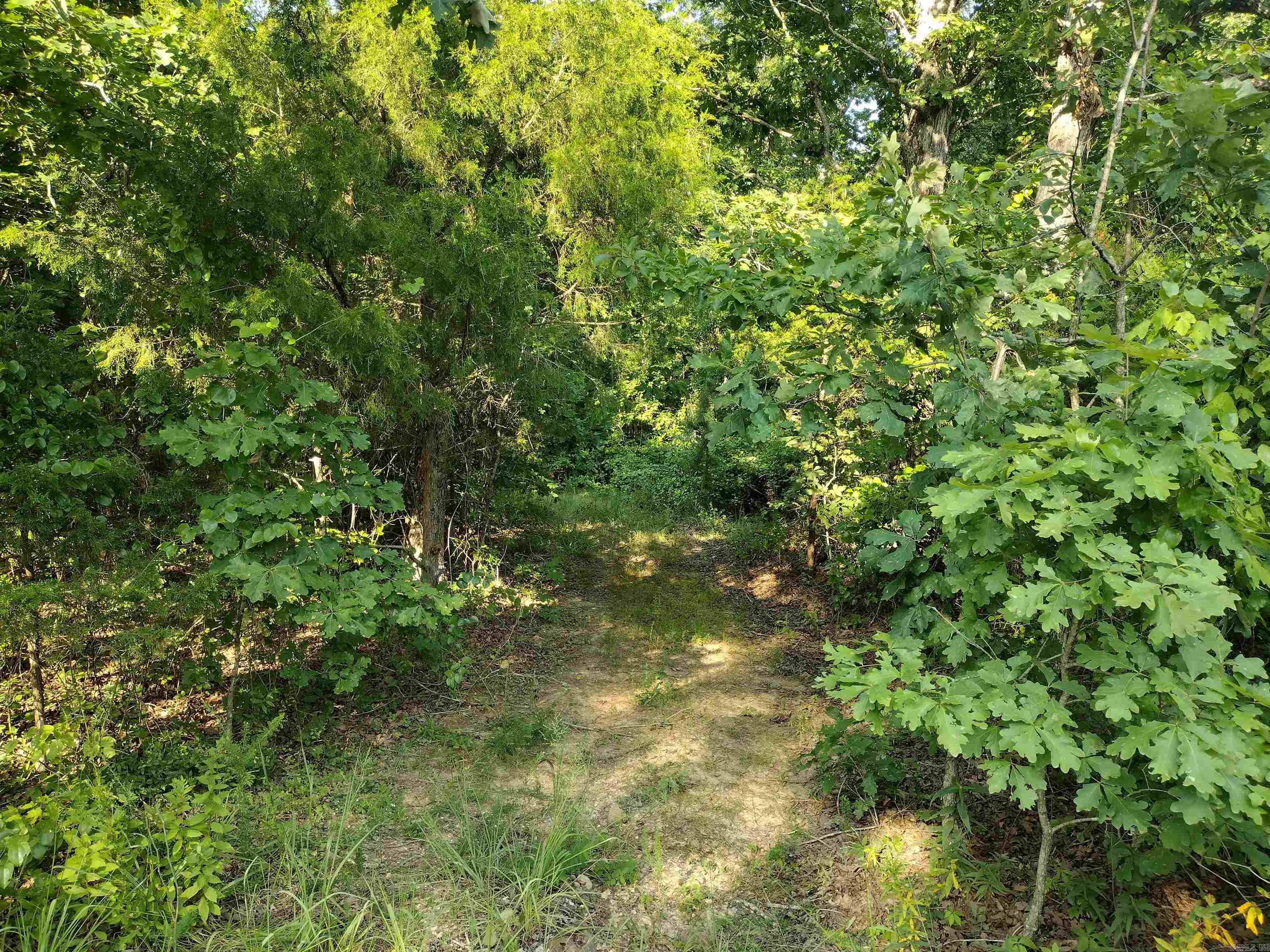 0 Iron Mountain RD  Mountain View, AR