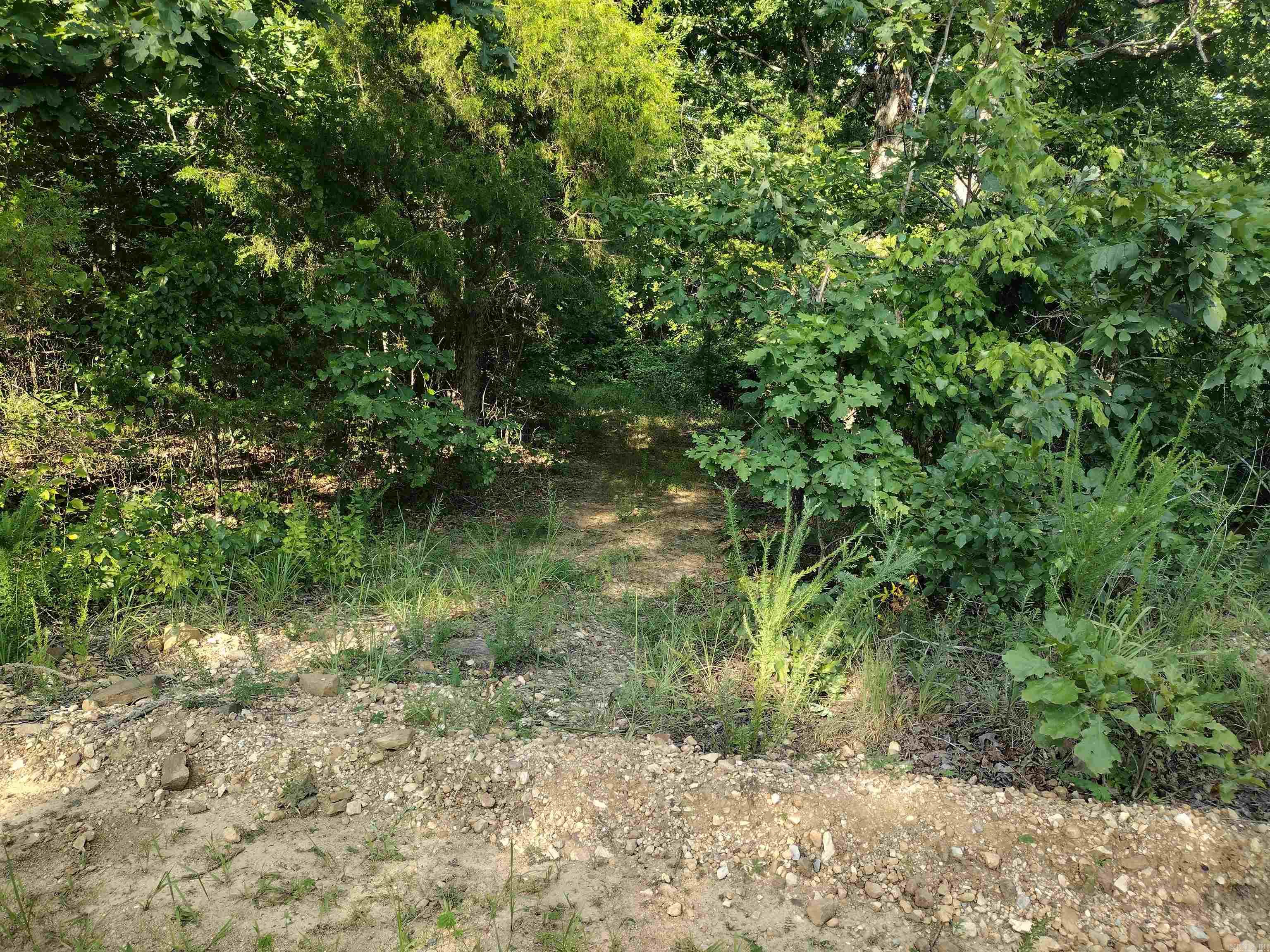 0 Iron Mountain RD  Mountain View, AR