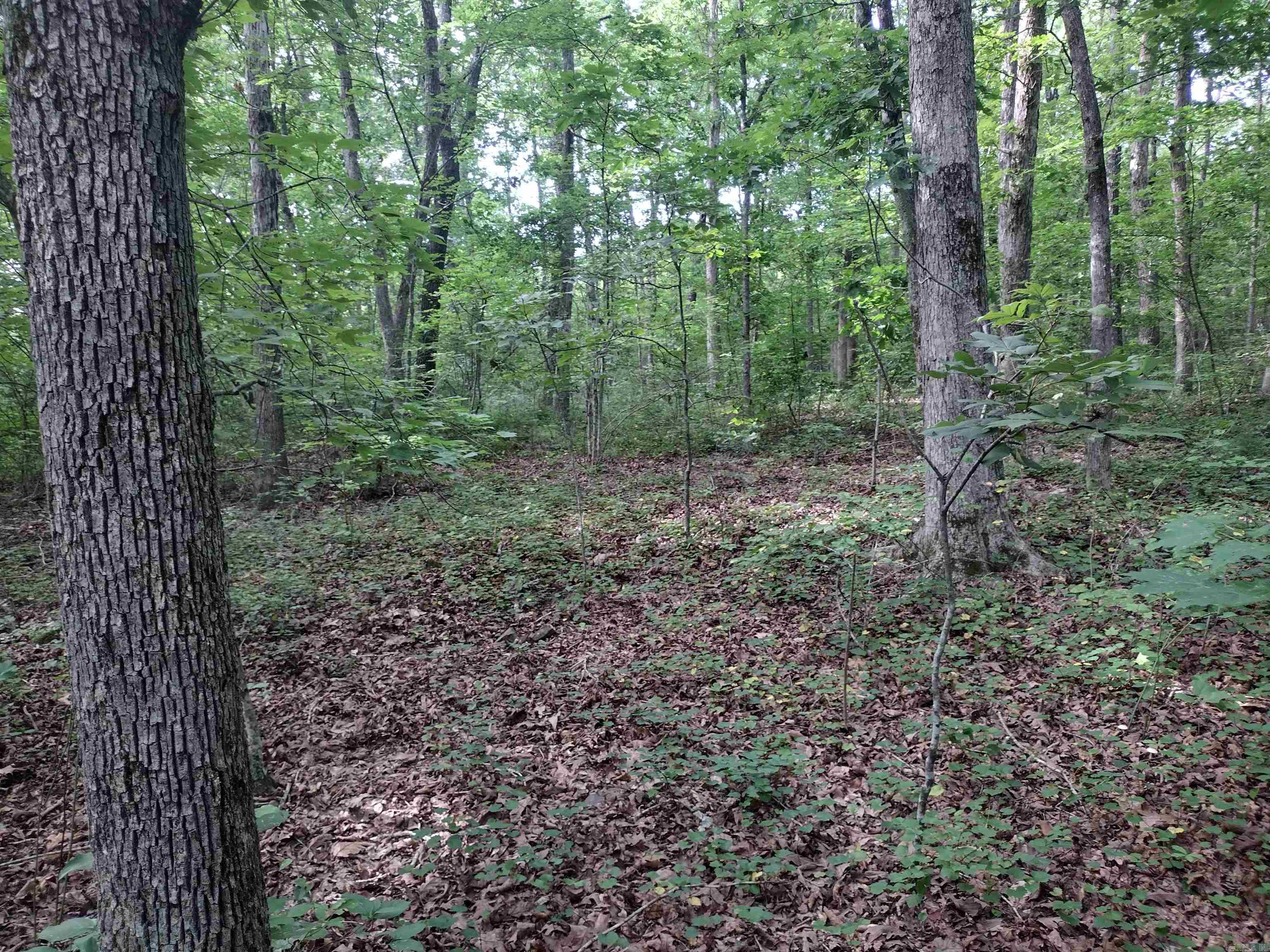 0 Iron Mountain RD  Mountain View, AR
