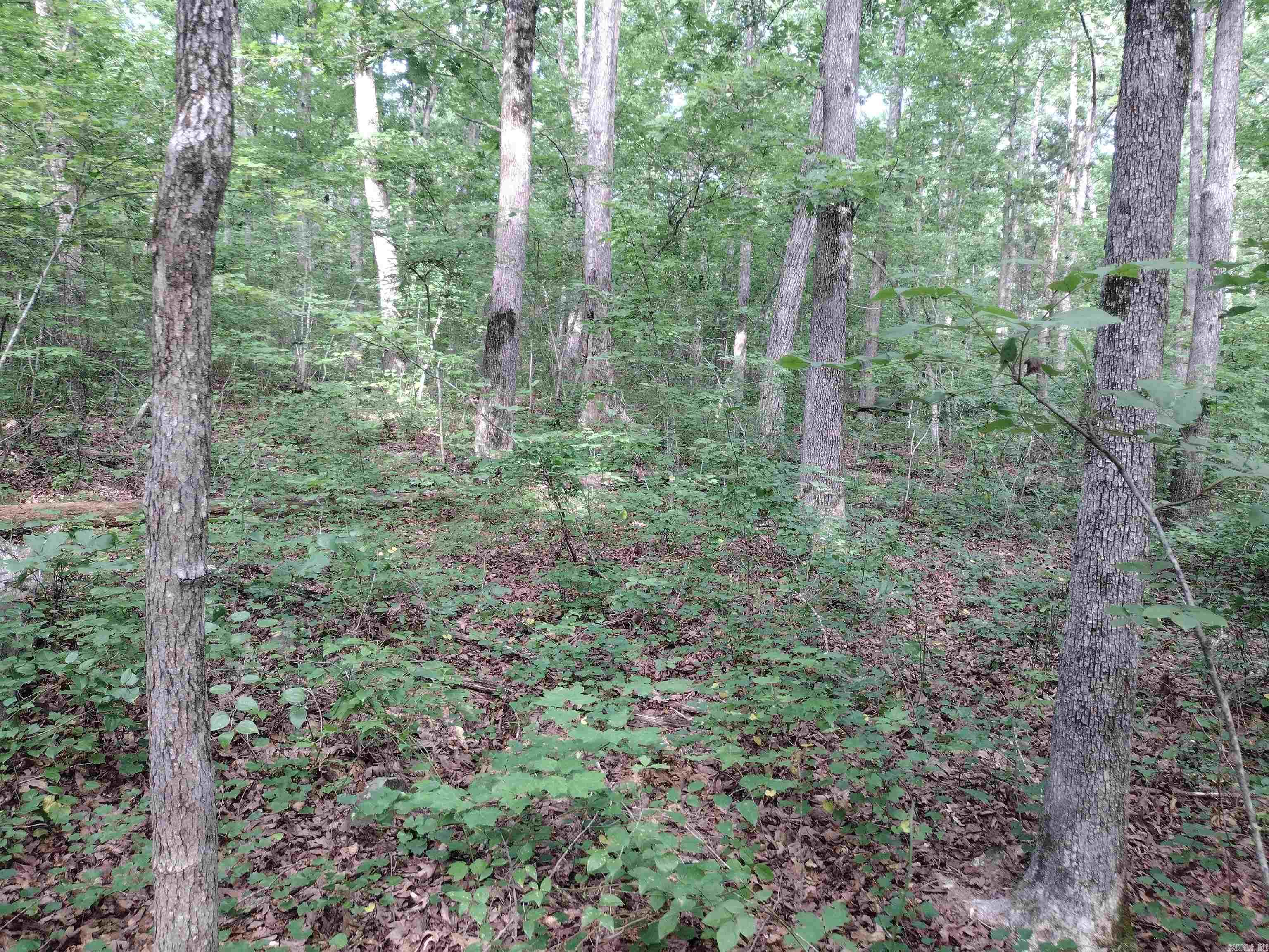 0 Iron Mountain RD  Mountain View, AR