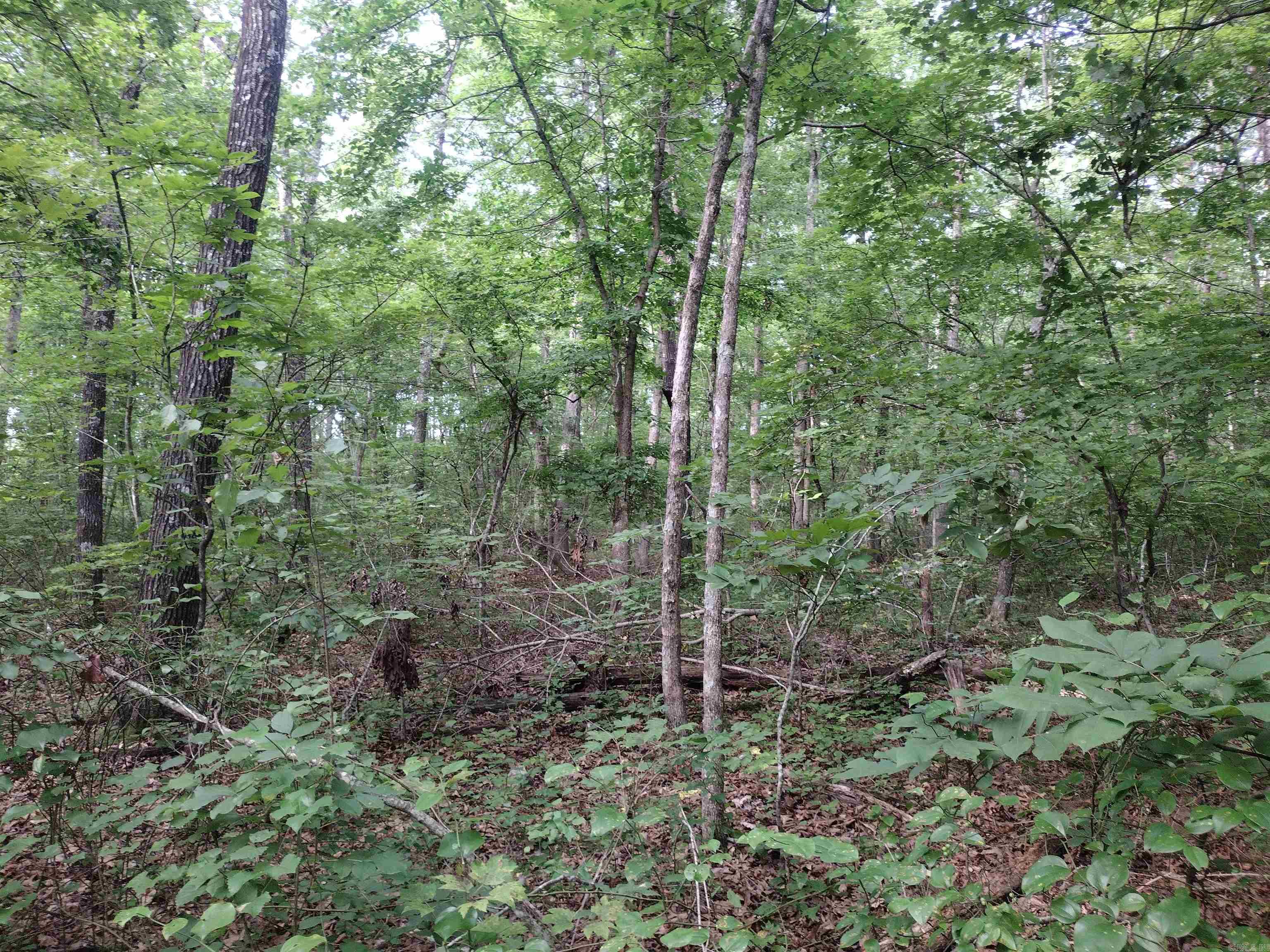 0 Iron Mountain RD  Mountain View, AR