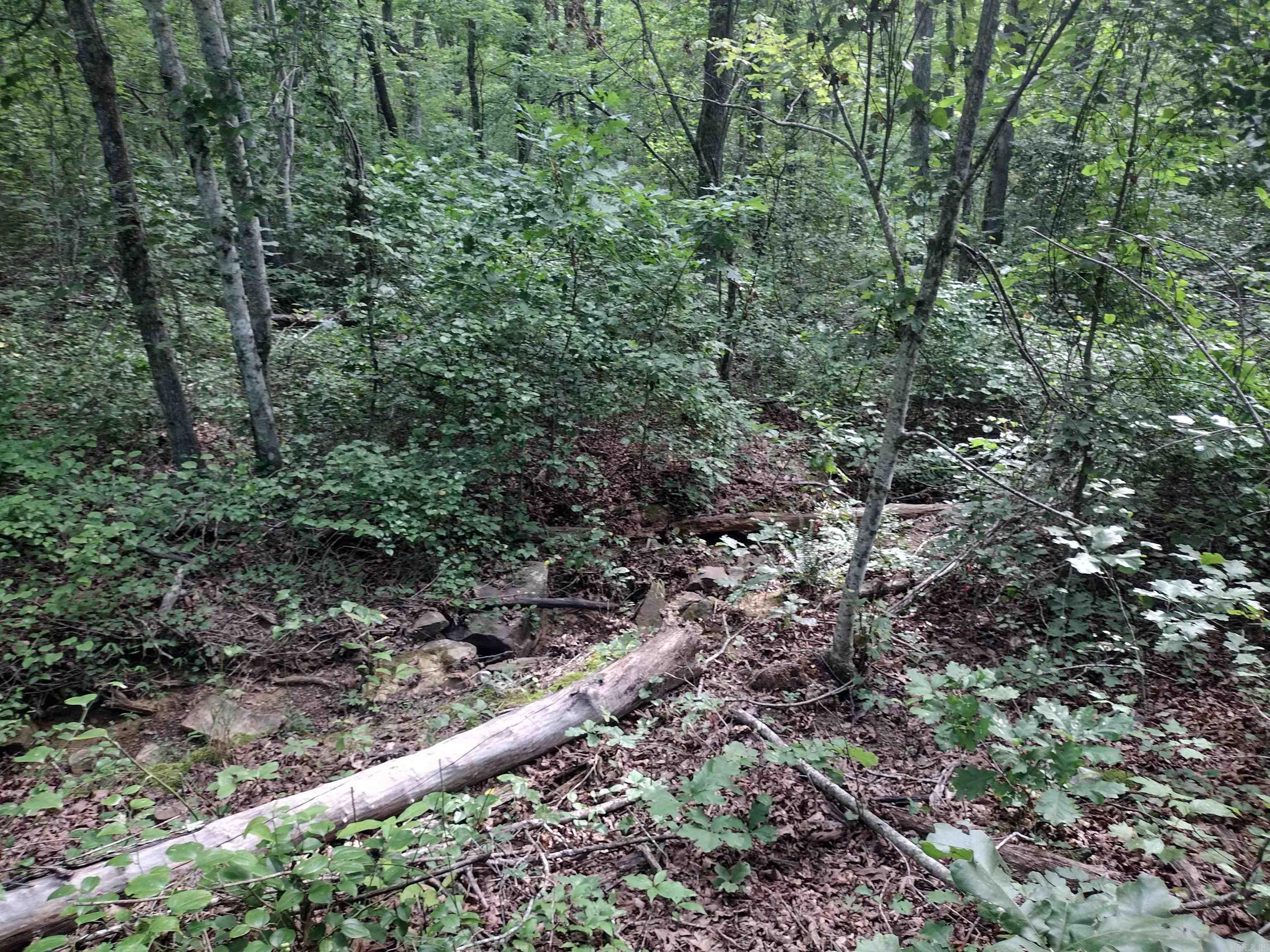 0 Iron Mountain RD  Mountain View, AR