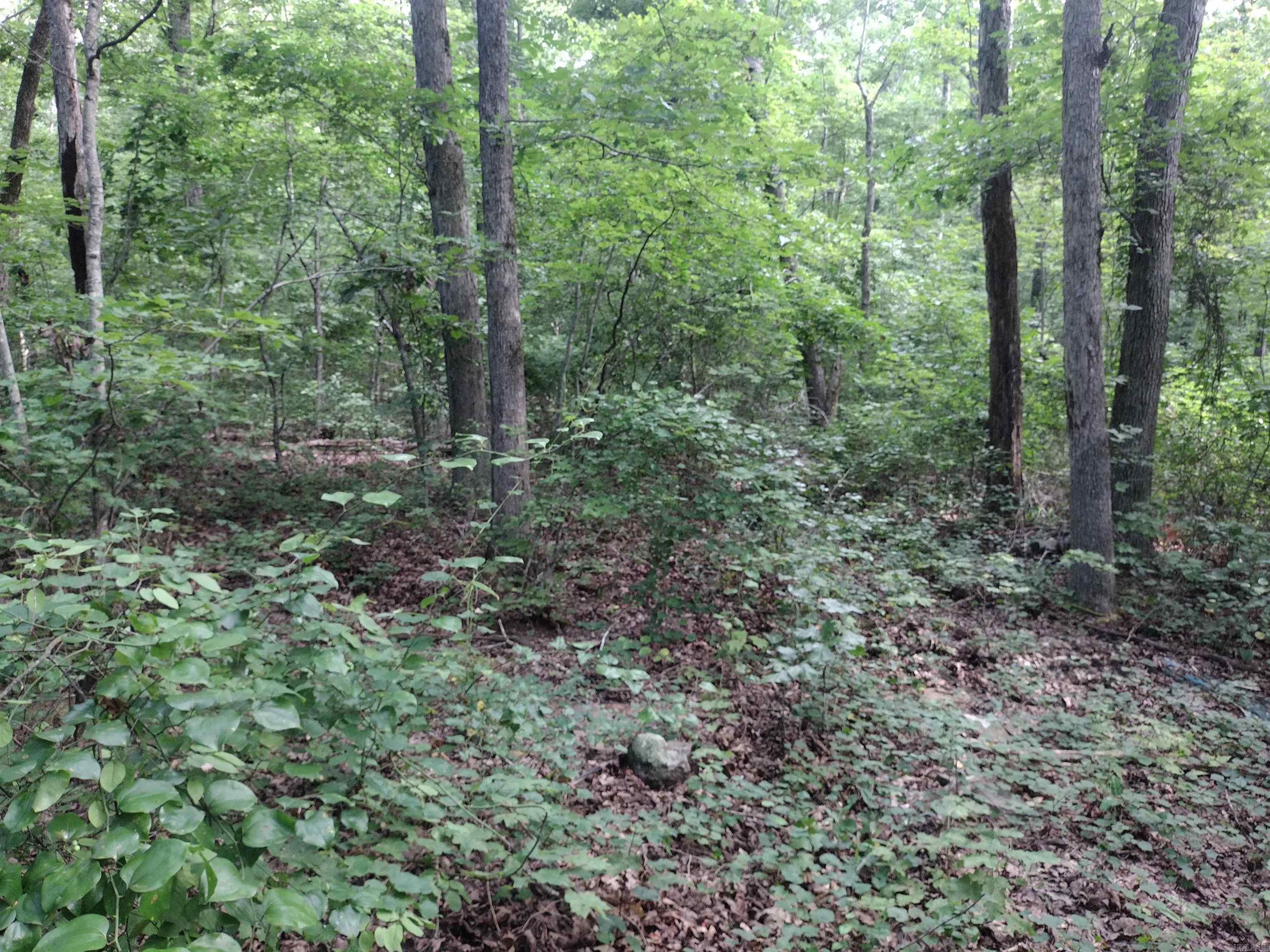 0 Iron Mountain RD  Mountain View, AR
