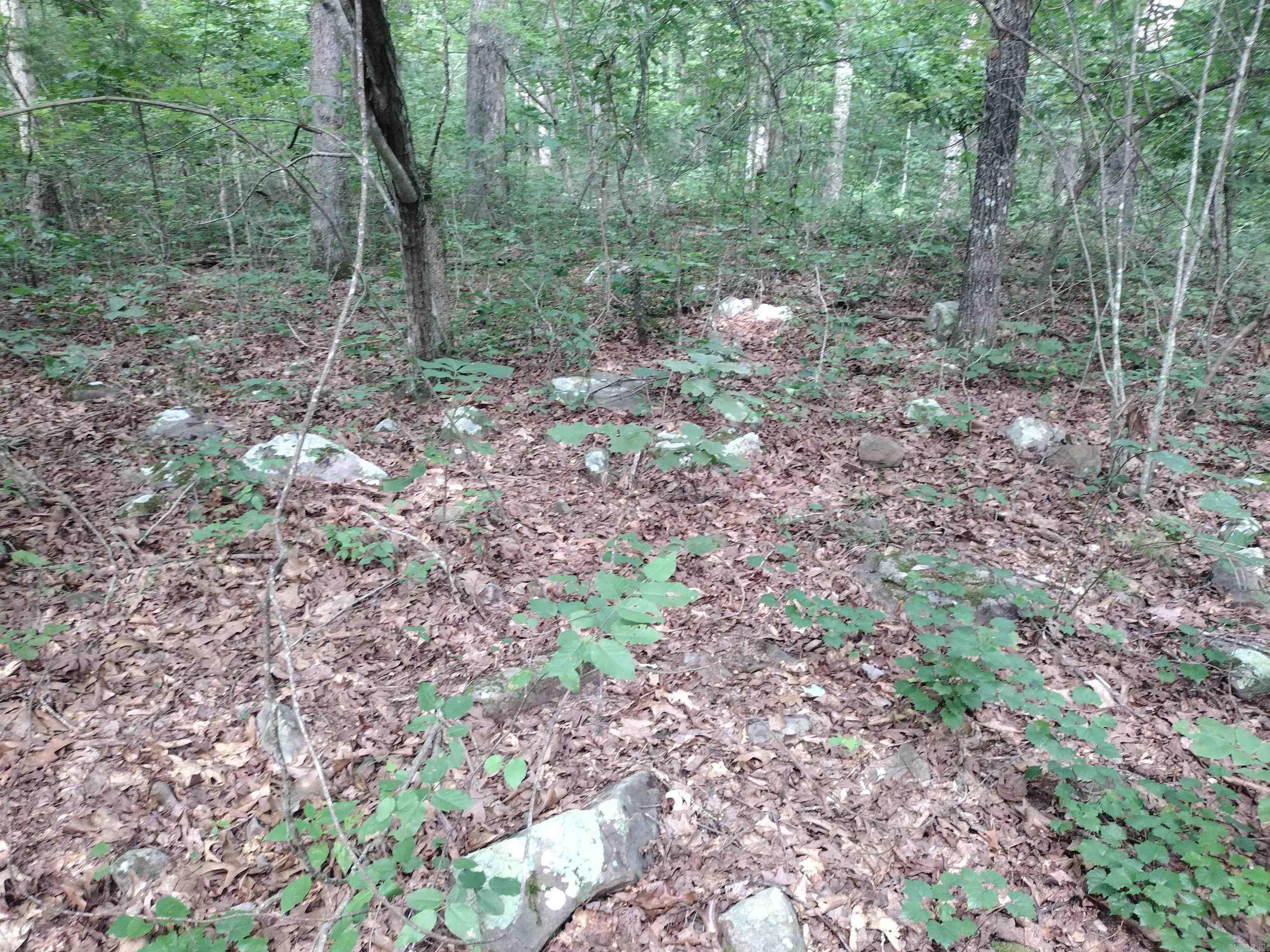 0 Iron Mountain RD  Mountain View, AR