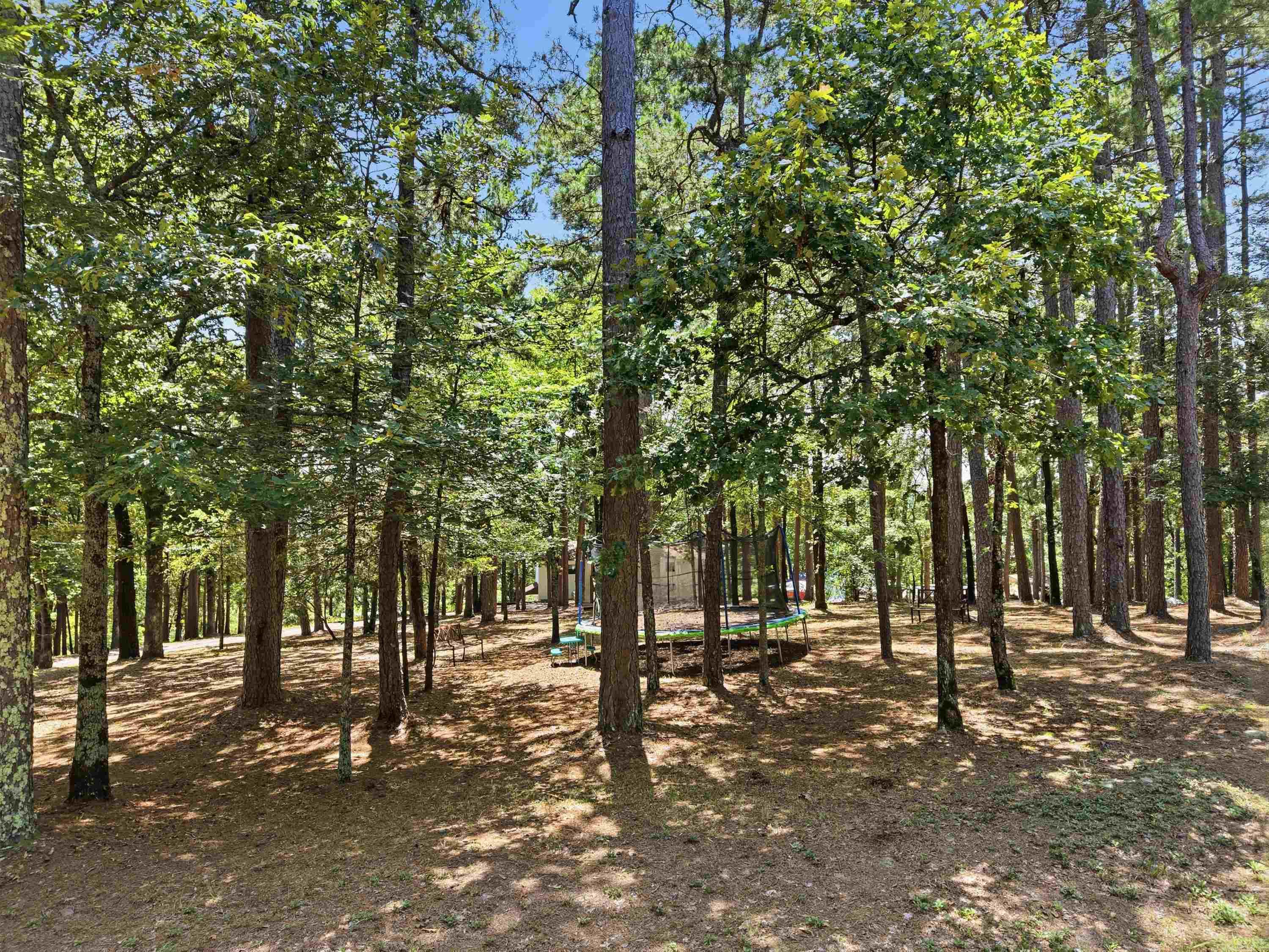 79 Jones Hill  Mayflower, AR