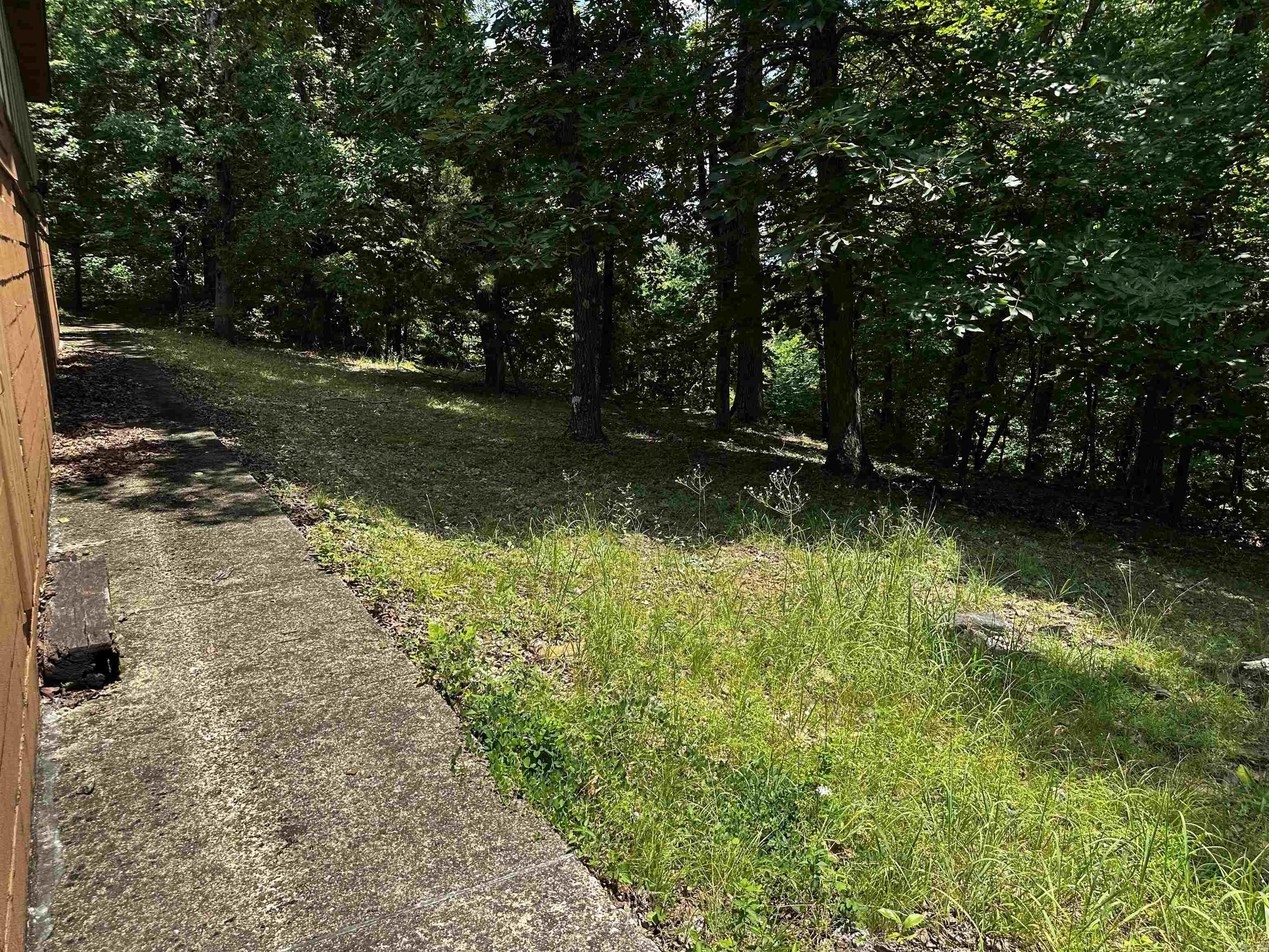 390 Cooper Point  Mountain View, AR