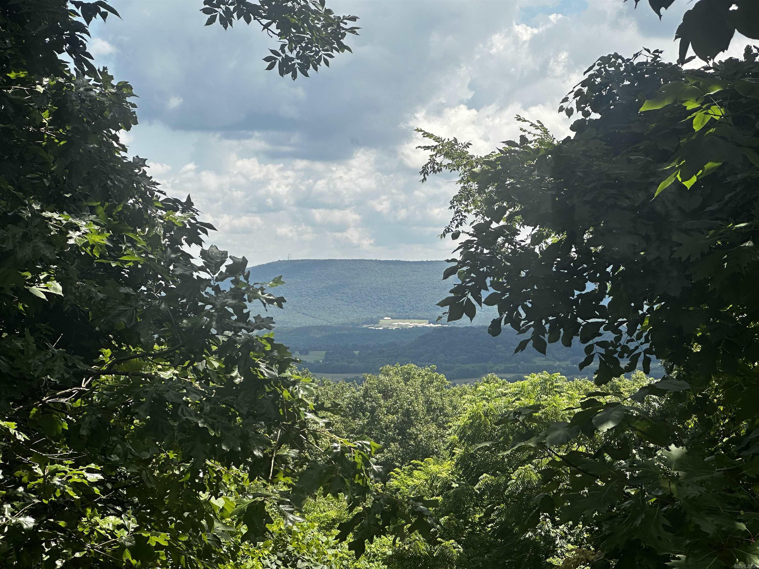 390 Cooper Point  Mountain View, AR