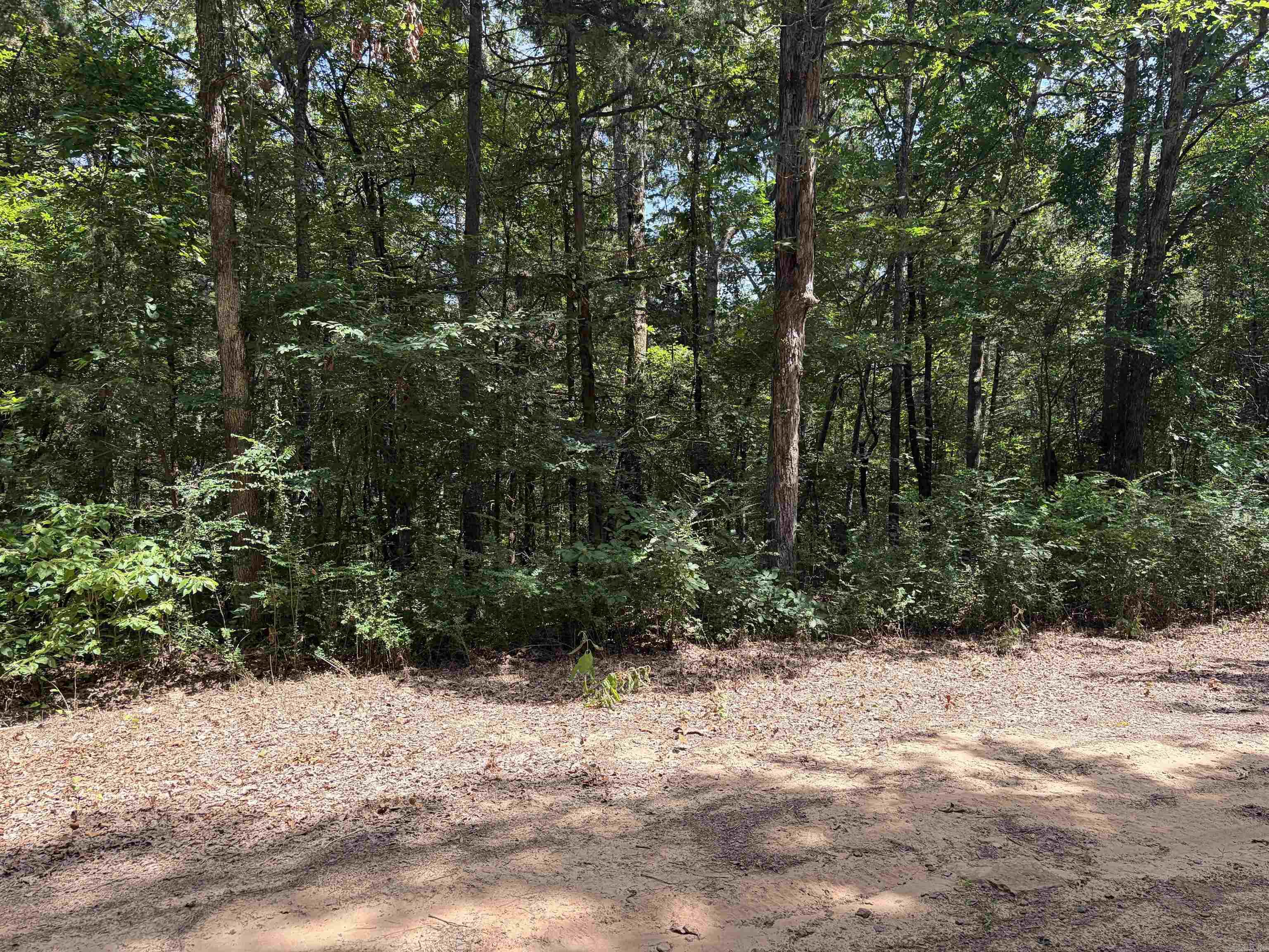 Lot 116-117 Del Rio Way  Greers Ferry, AR
