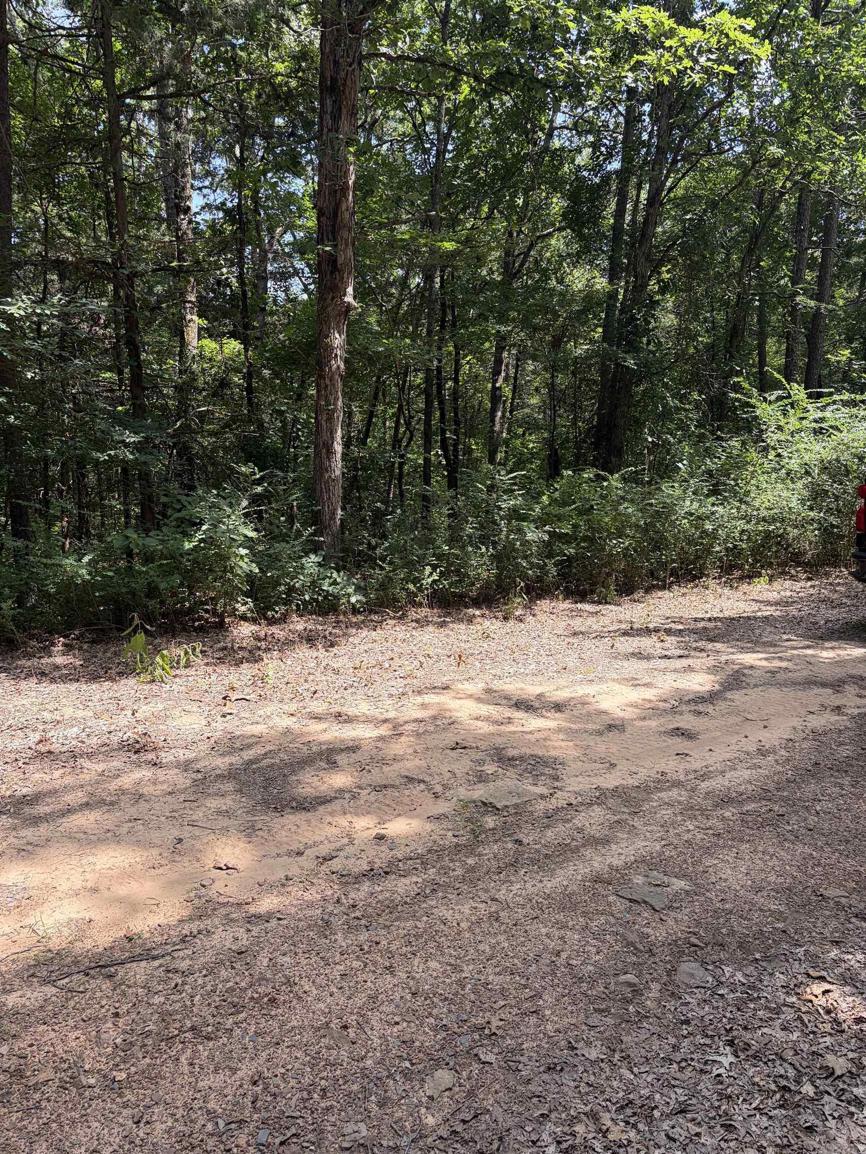 Lot 116-117 Del Rio Way  Greers Ferry, AR