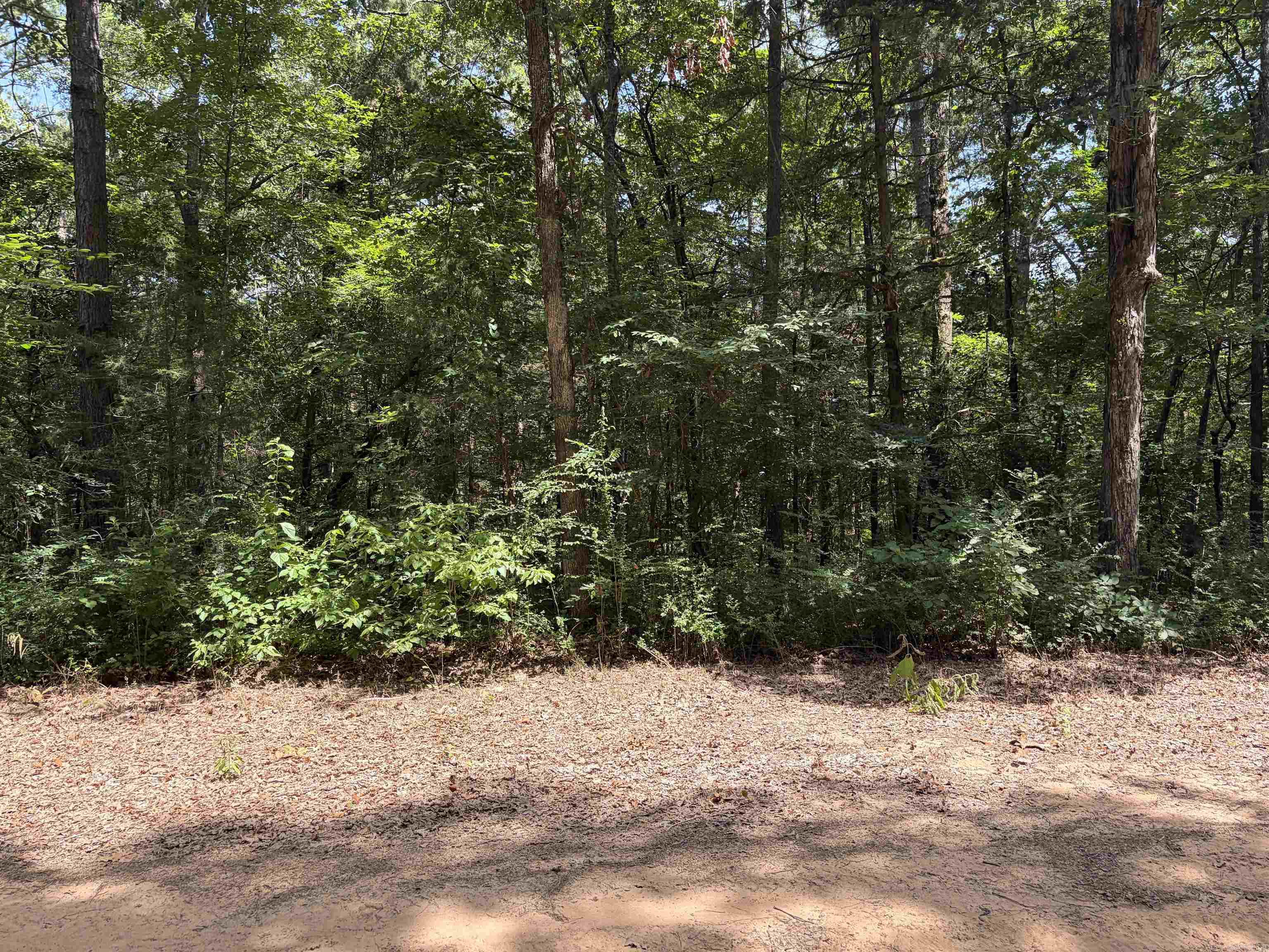 Lot 116-117 Del Rio Way  Greers Ferry, AR