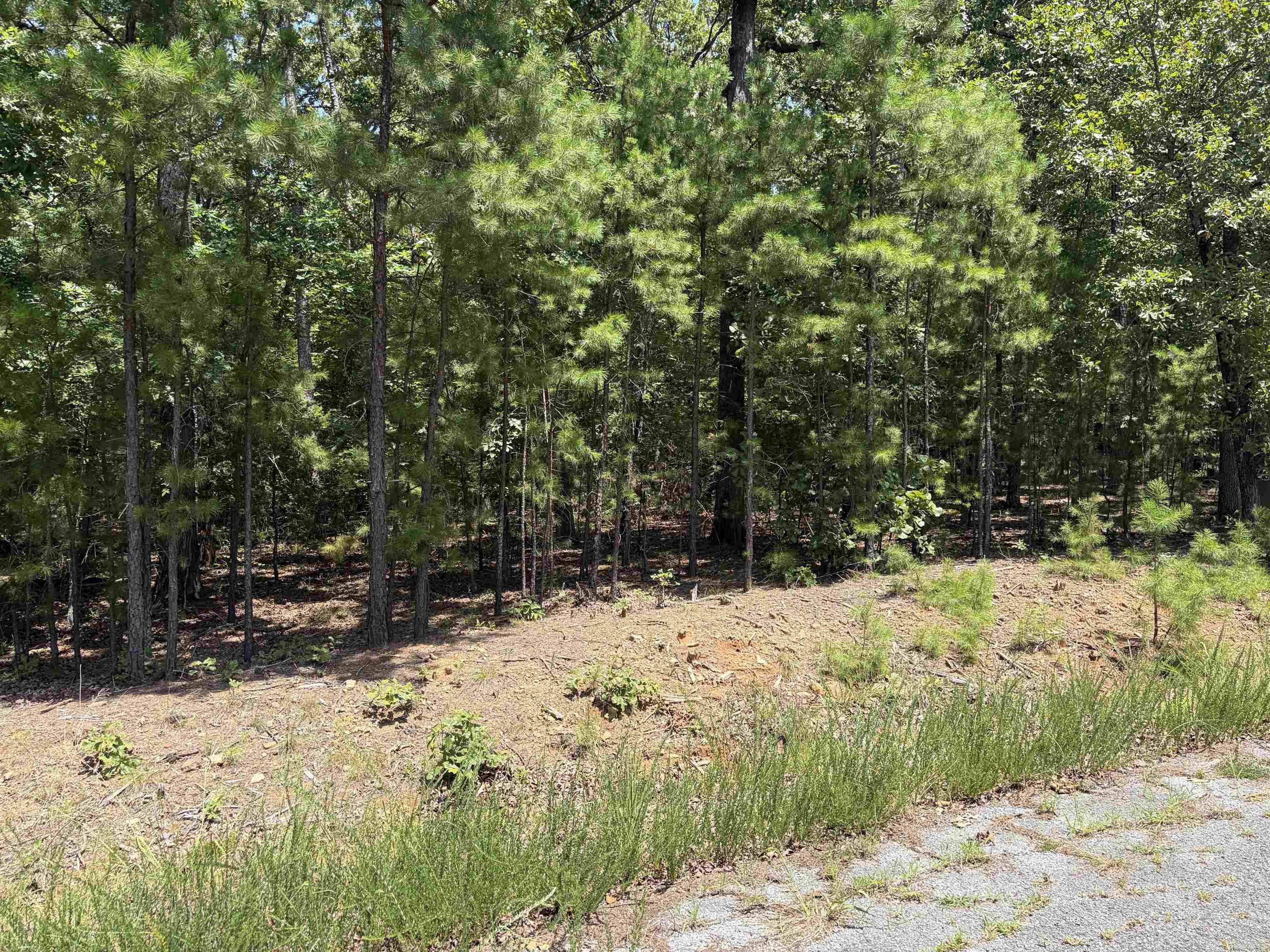 Lot 26 Island Shores  Greers Ferry, AR