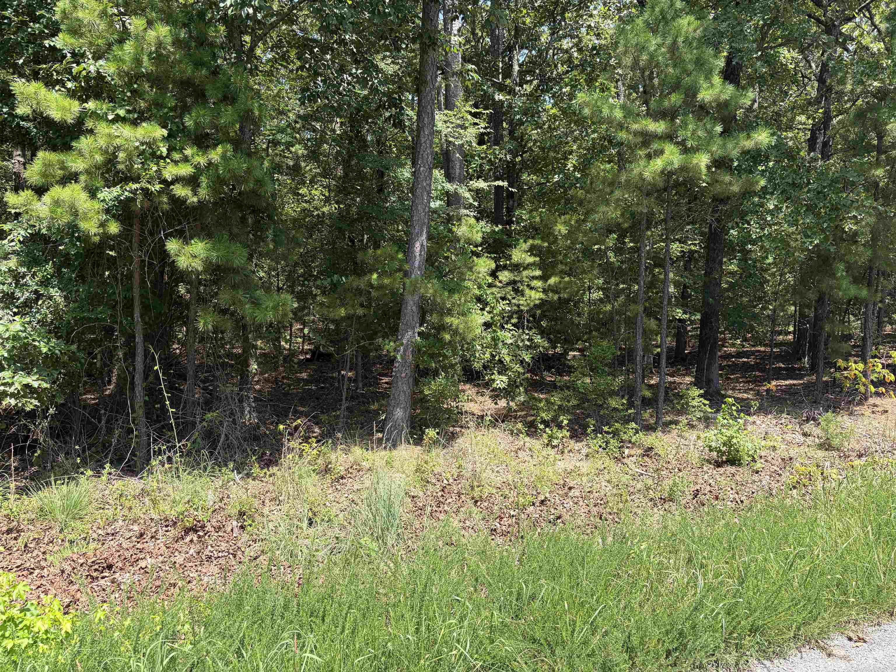 Lot 26 Island Shores  Greers Ferry, AR