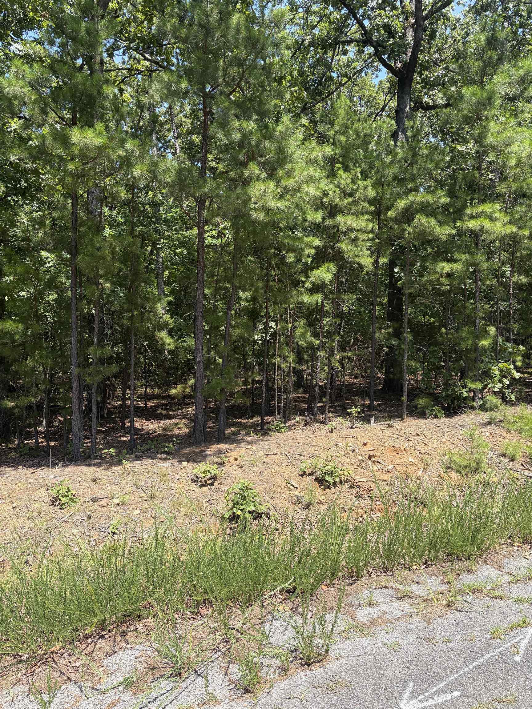 Lot 26 Island Shores  Greers Ferry, AR