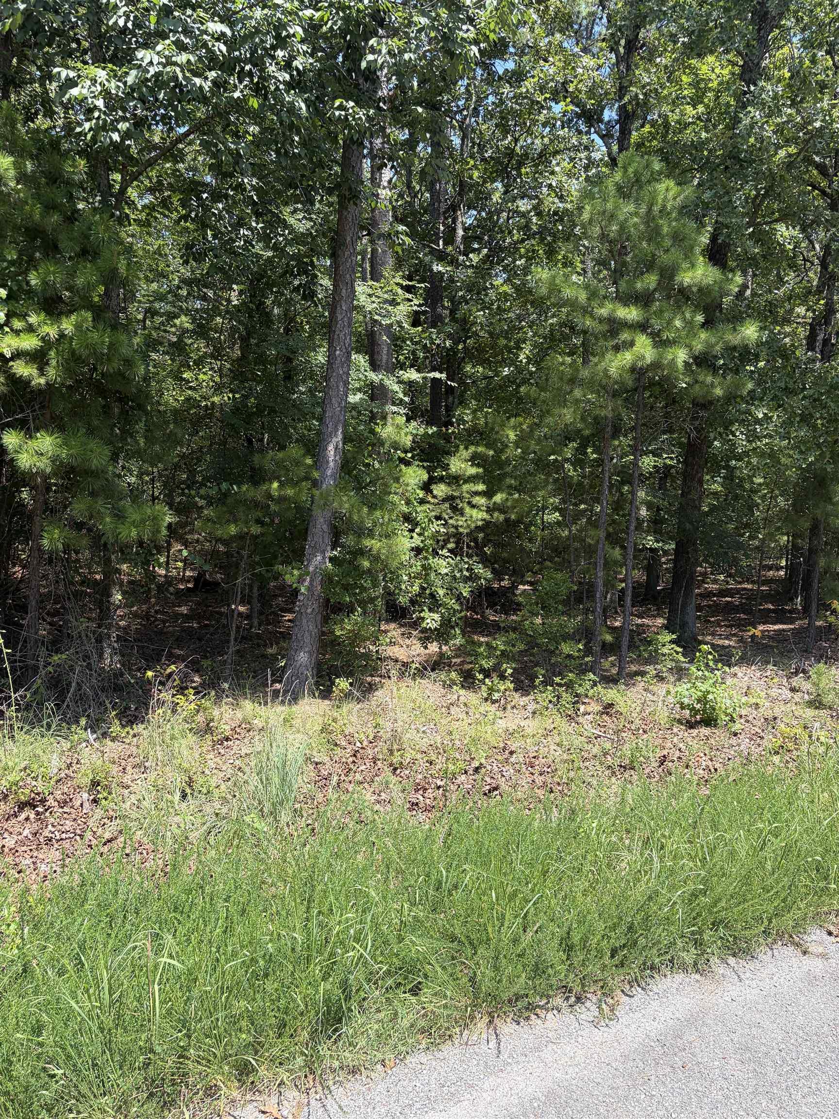 Lot 26 Island Shores  Greers Ferry, AR