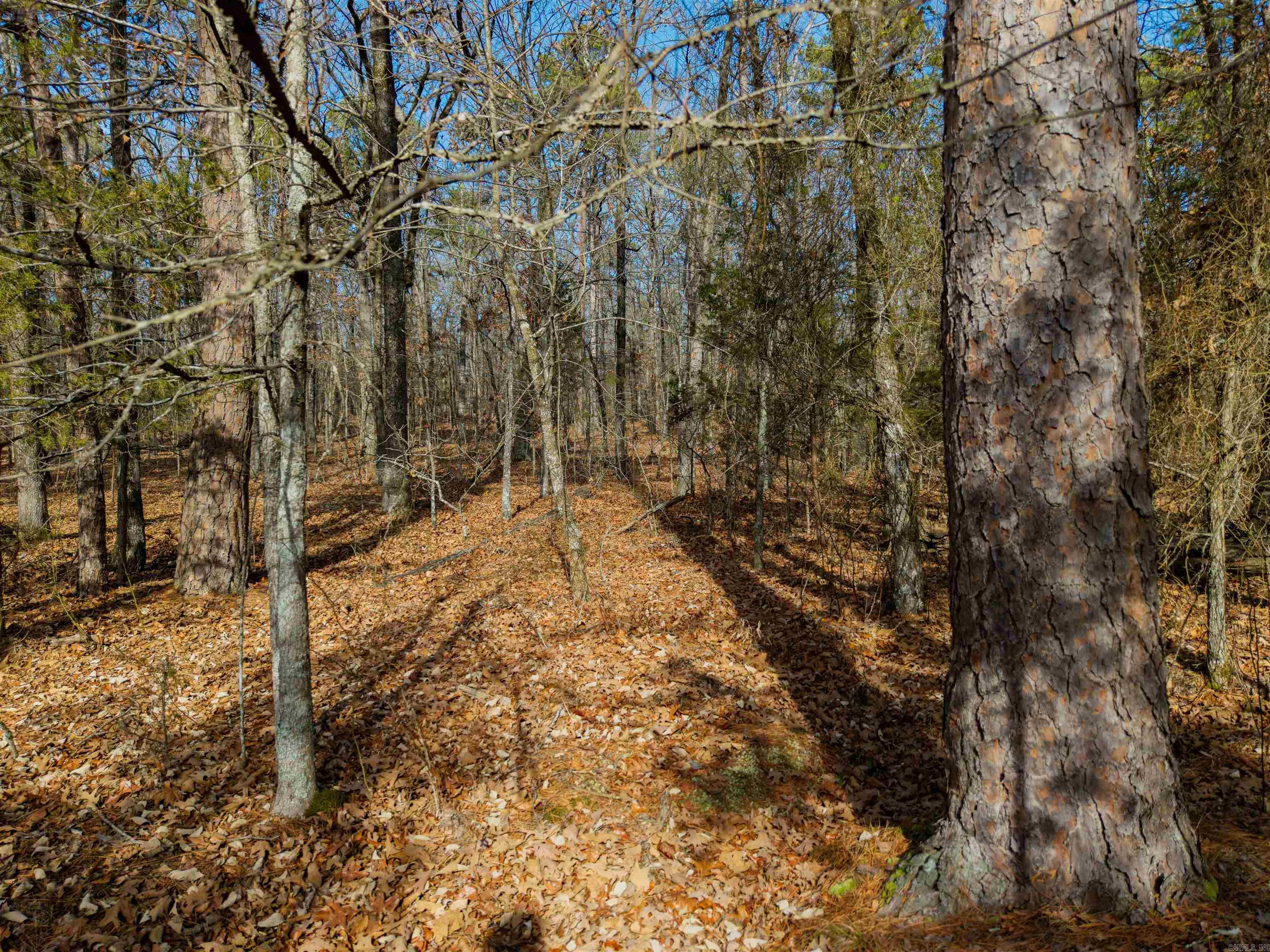 Lot 26 Island Shores  Greers Ferry, AR