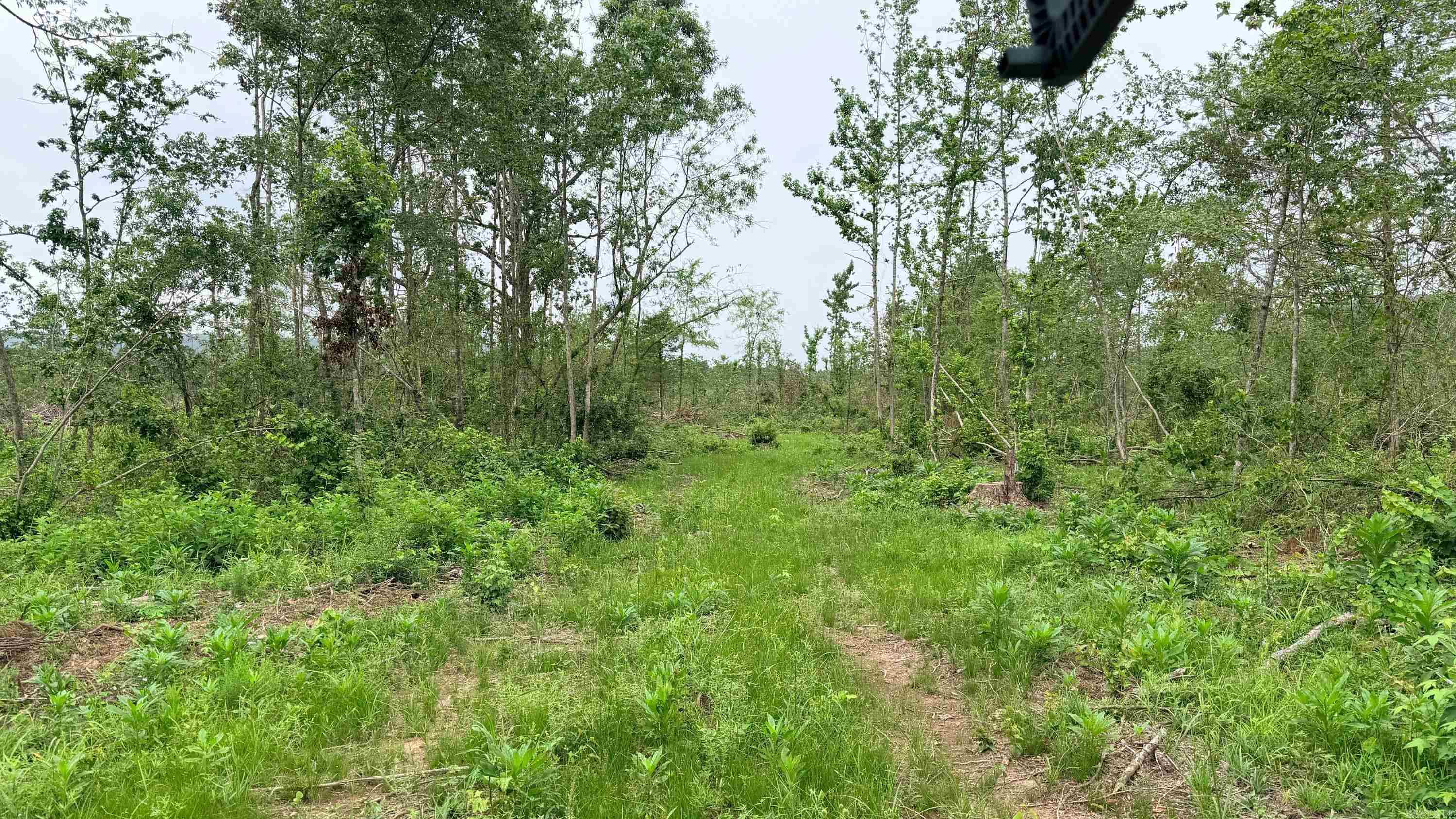 0001 Chula  Plainview, AR