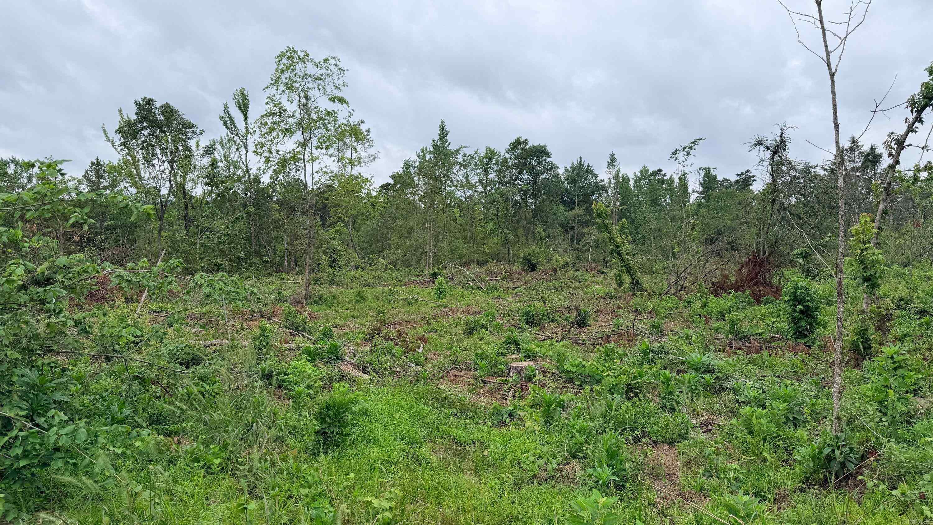 0001 Chula  Plainview, AR