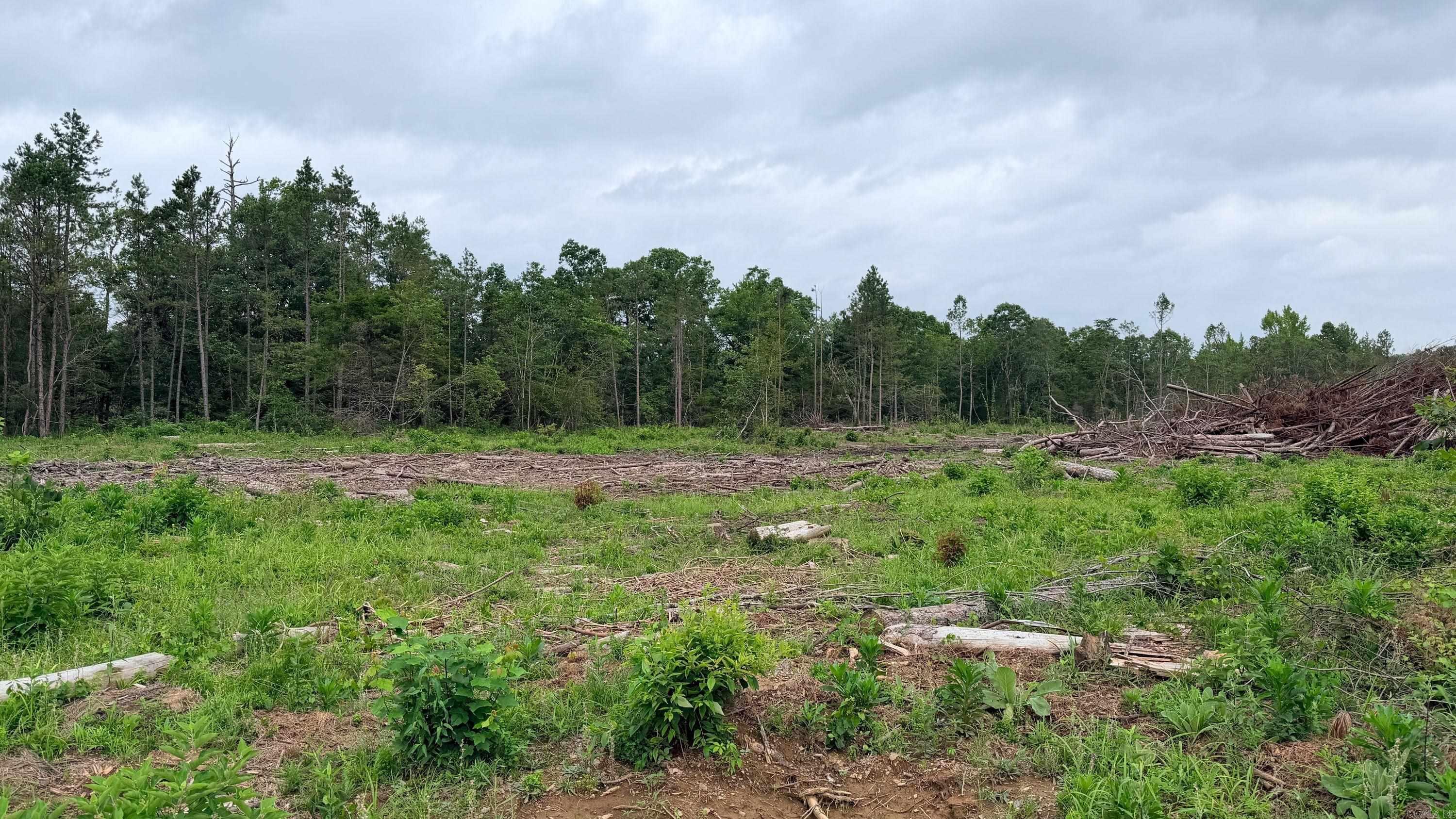 0001 Chula  Plainview, AR