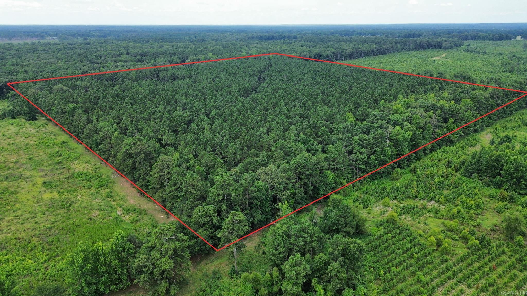 000 Casey Rd.  Pine Bluff, AR