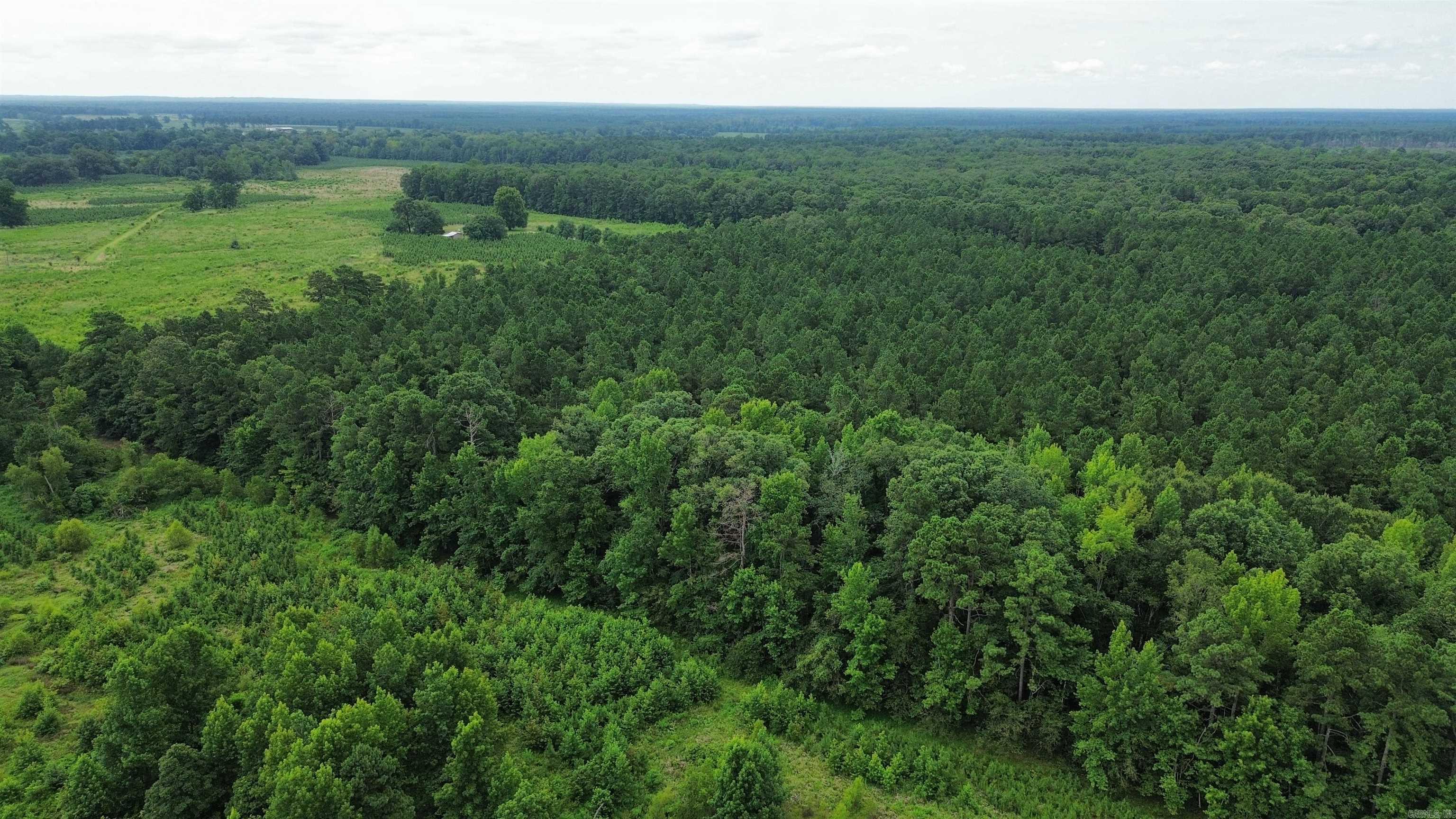 000 Casey Rd.  Pine Bluff, AR