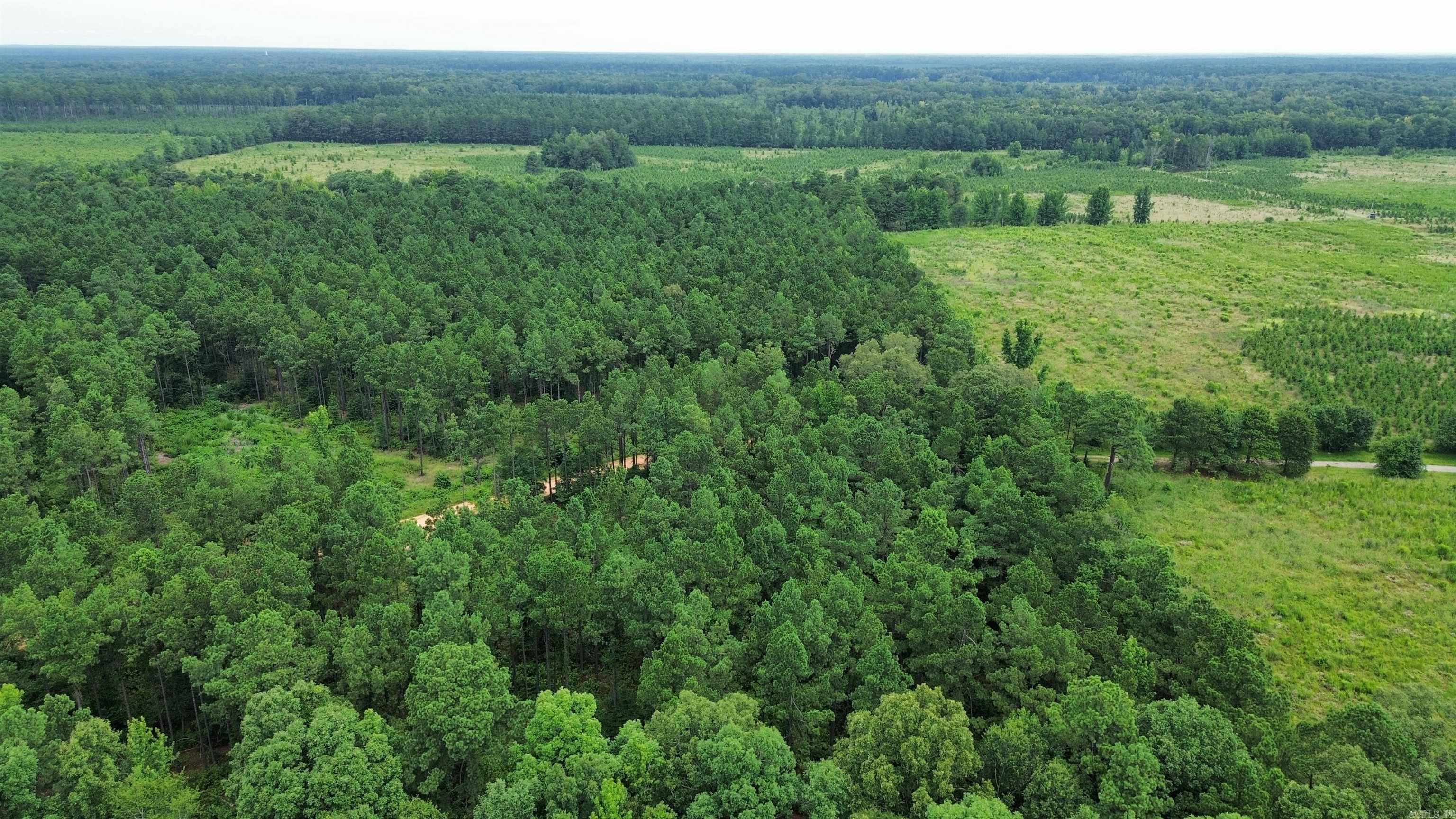 000 Casey Rd.  Pine Bluff, AR