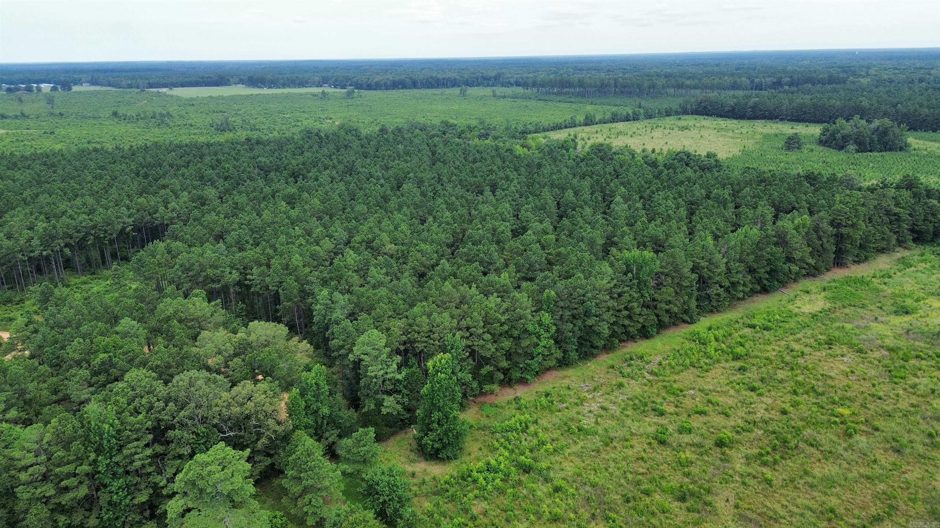000 Casey Rd.  Pine Bluff, AR