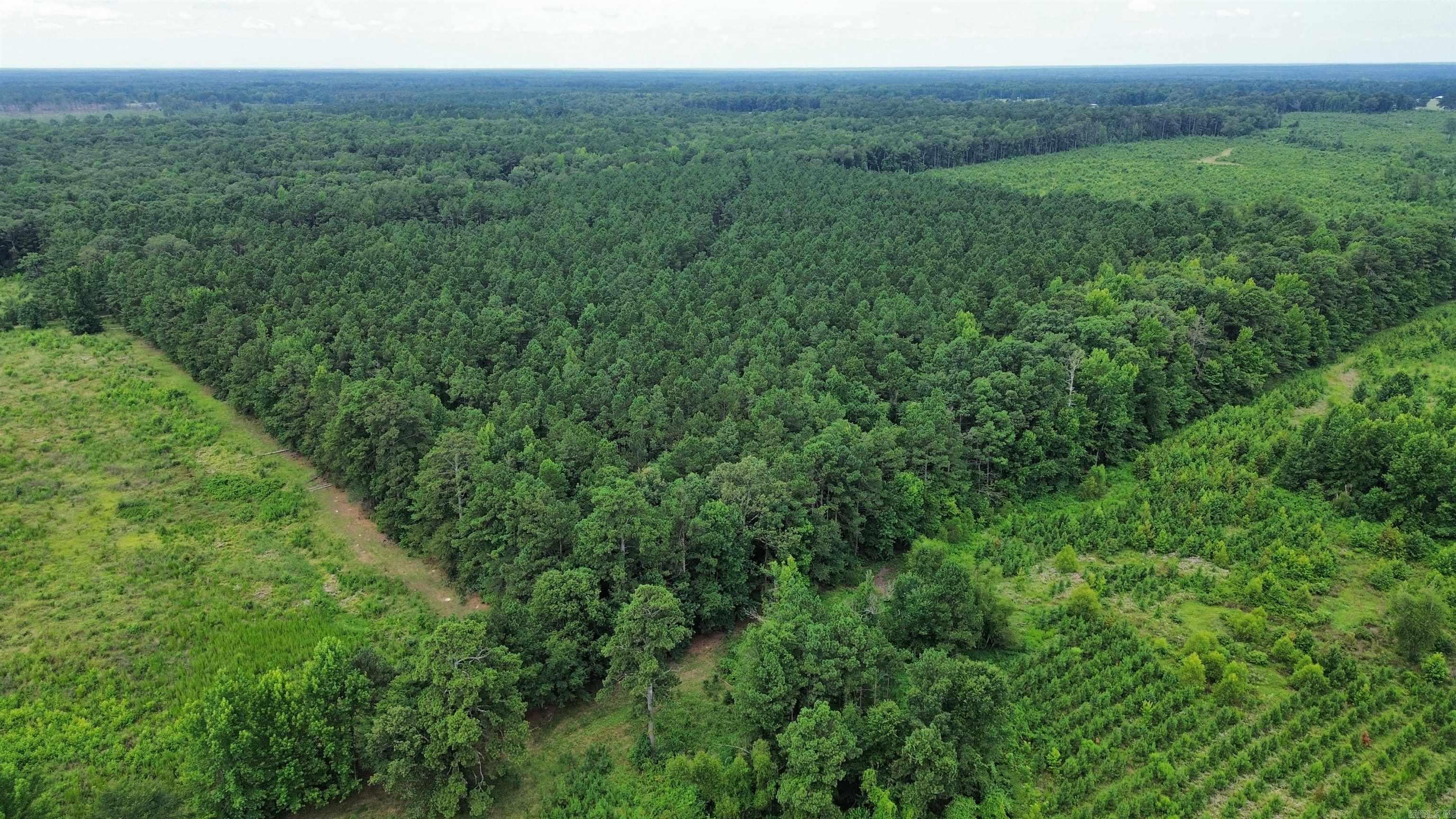 000 Casey Rd.  Pine Bluff, AR