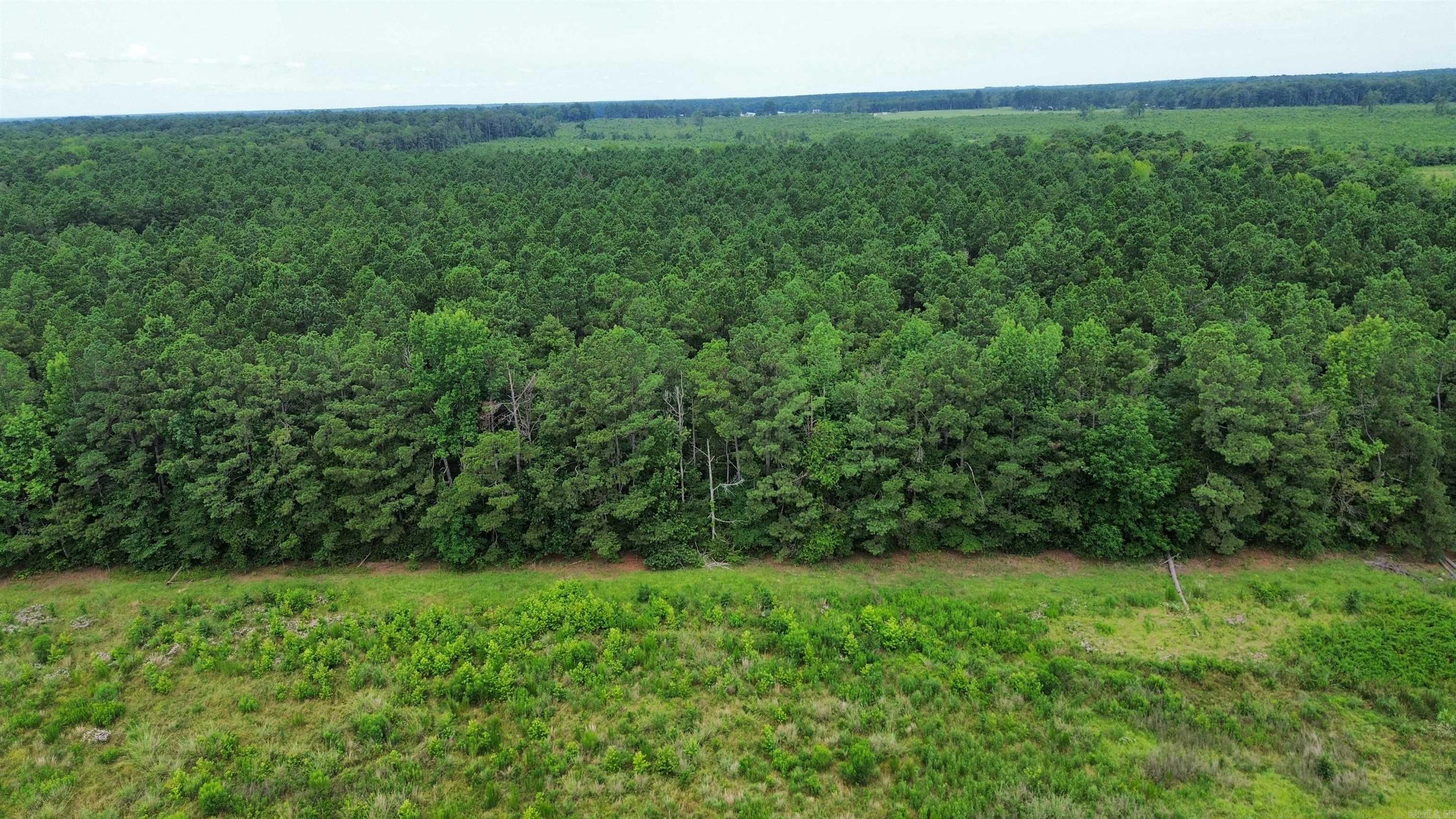 000 Casey Rd.  Pine Bluff, AR