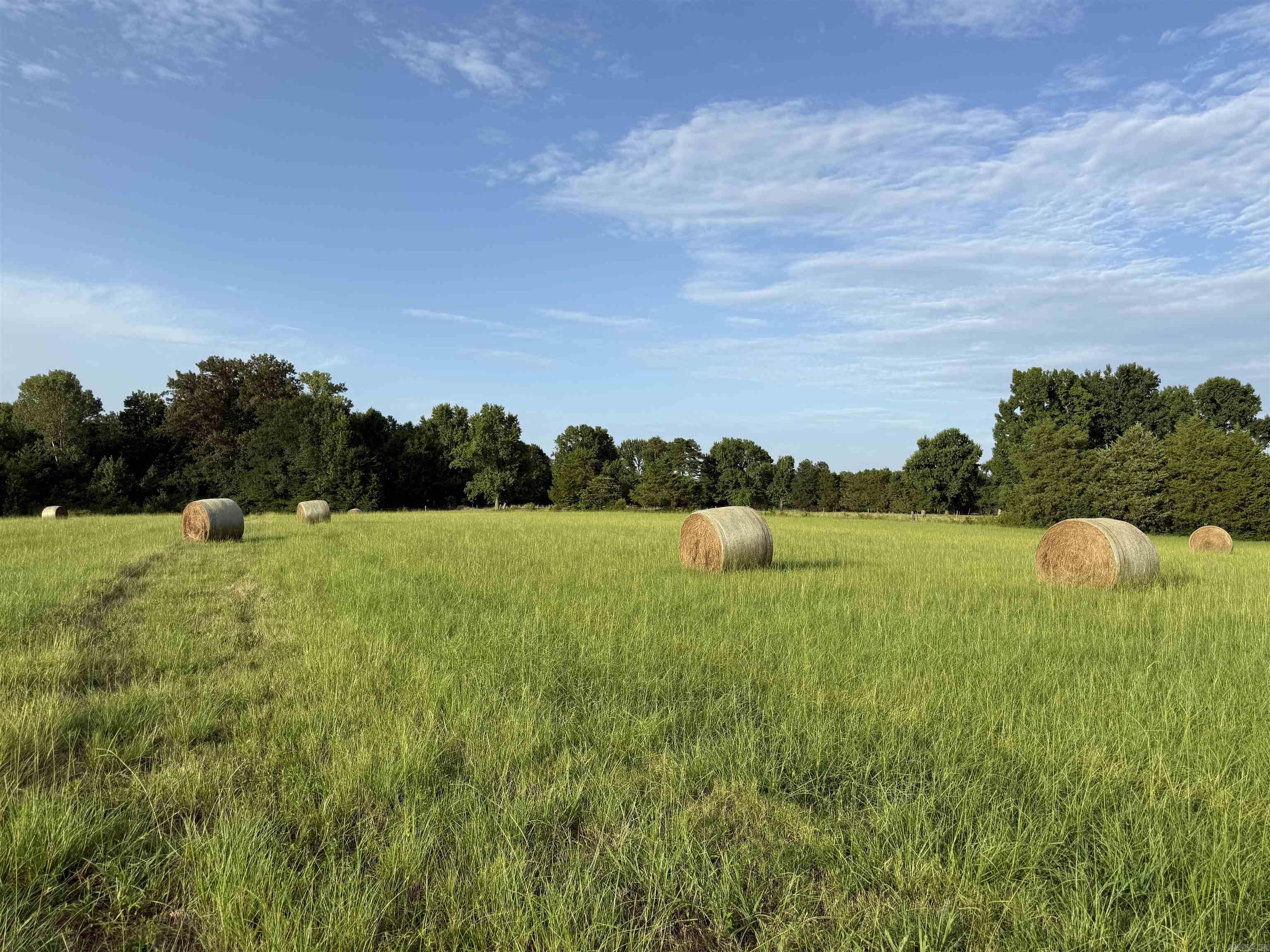 000 Crossroads Rd.  Des Arc, AR