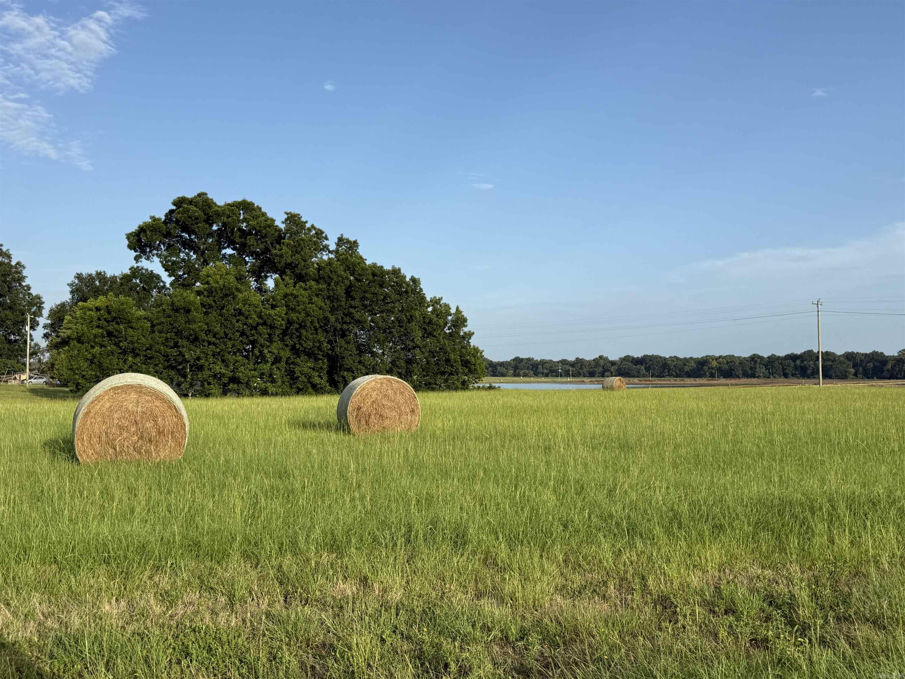 000 Crossroads Rd.  Des Arc, AR