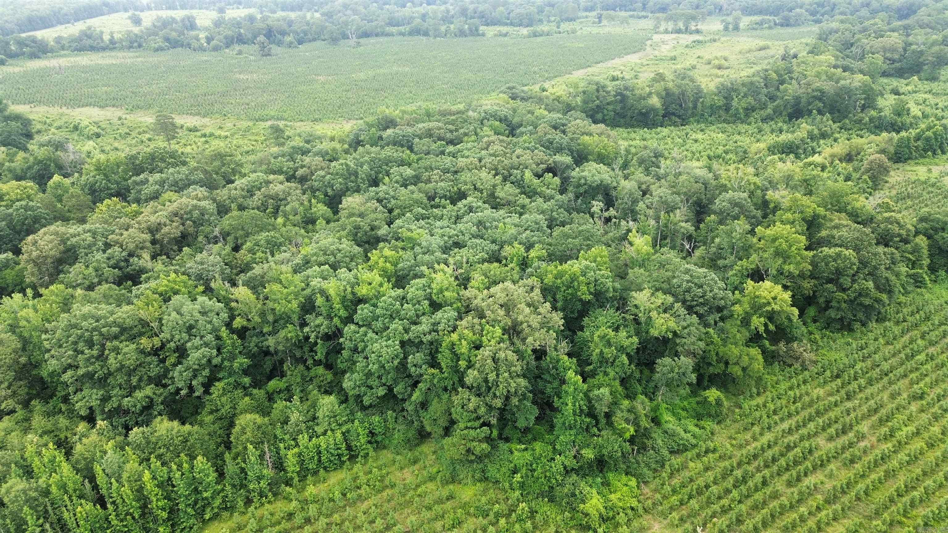 000 Sevier CR 279 / Greyland Rd.  Dierks, AR